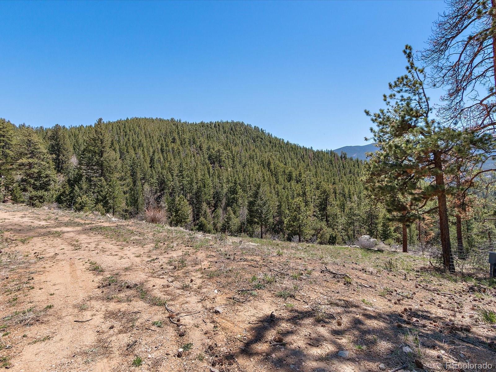 MLS Image #7 for 1448 s ridge road,bailey, Colorado
