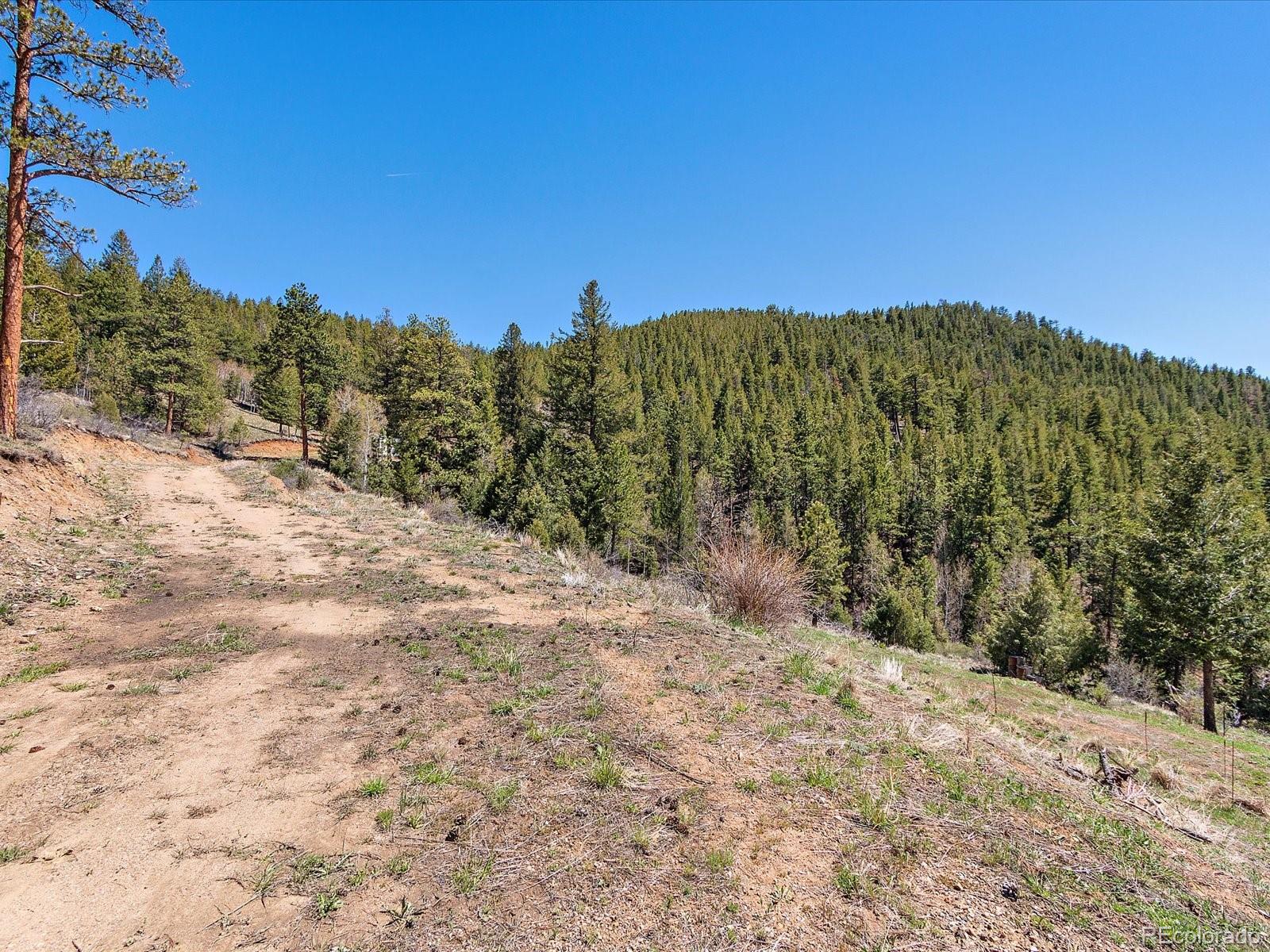 MLS Image #8 for 1448 s ridge road,bailey, Colorado