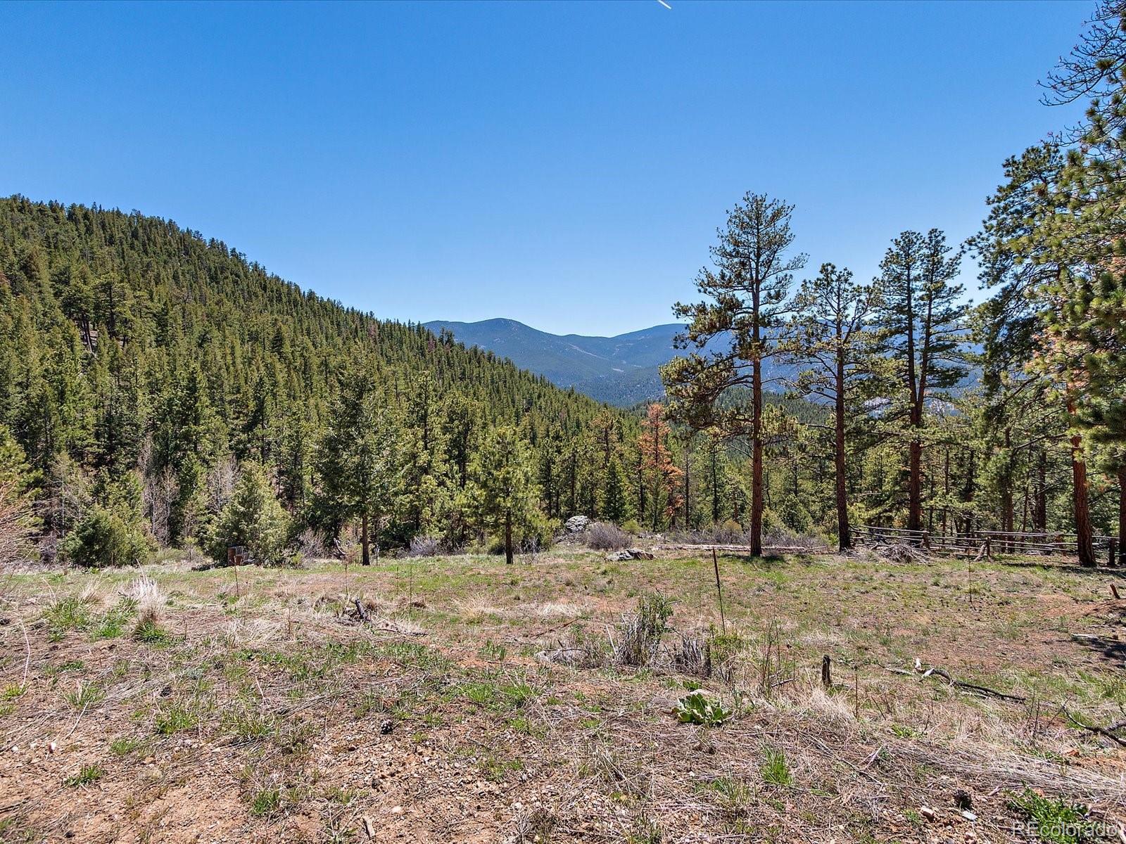 MLS Image #9 for 1448 s ridge road,bailey, Colorado
