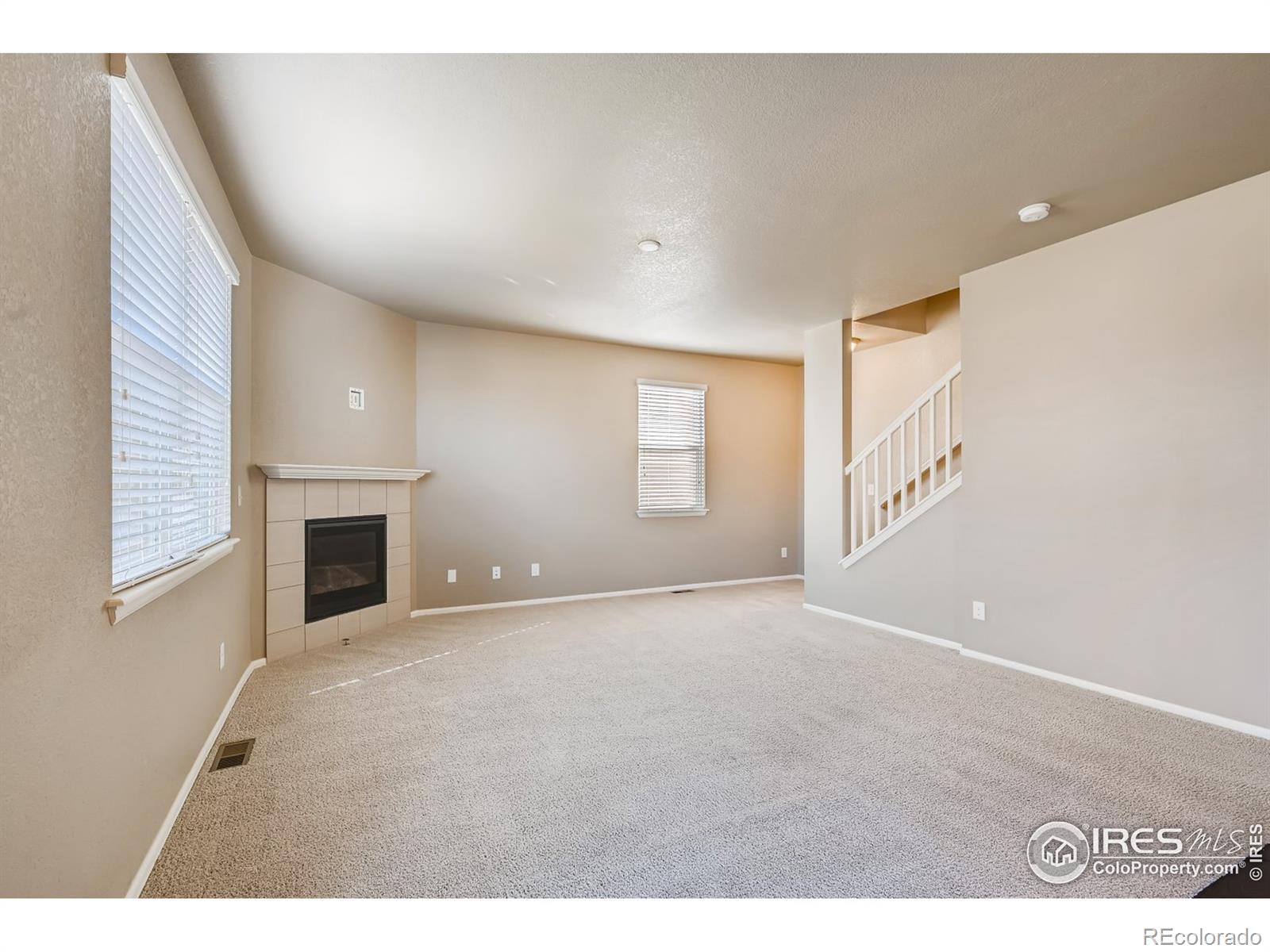 MLS Image #10 for 2173  longfin drive,windsor, Colorado