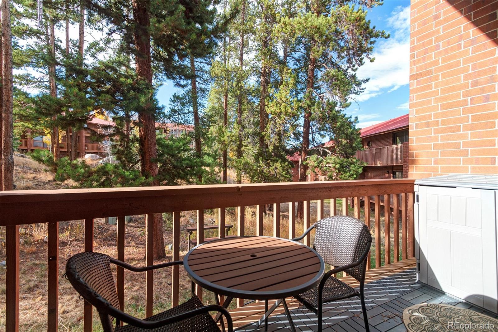 MLS Image #8 for 743  meadow creek drive,frisco, Colorado