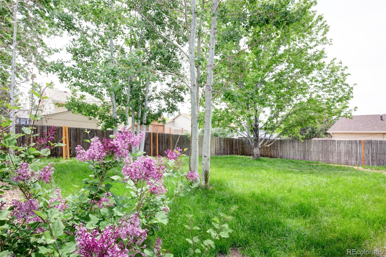 MLS Image #24 for 454 n 8th avenue,brighton, Colorado