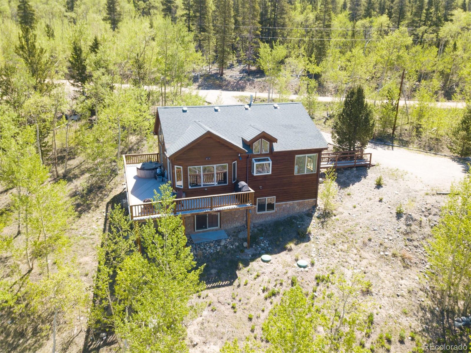 MLS Image #10 for 223  juniper court,alma, Colorado