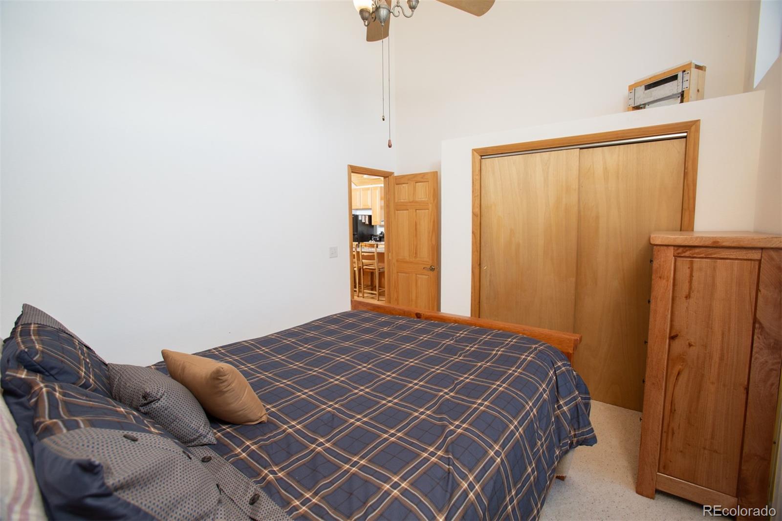 MLS Image #13 for 223  juniper court,alma, Colorado