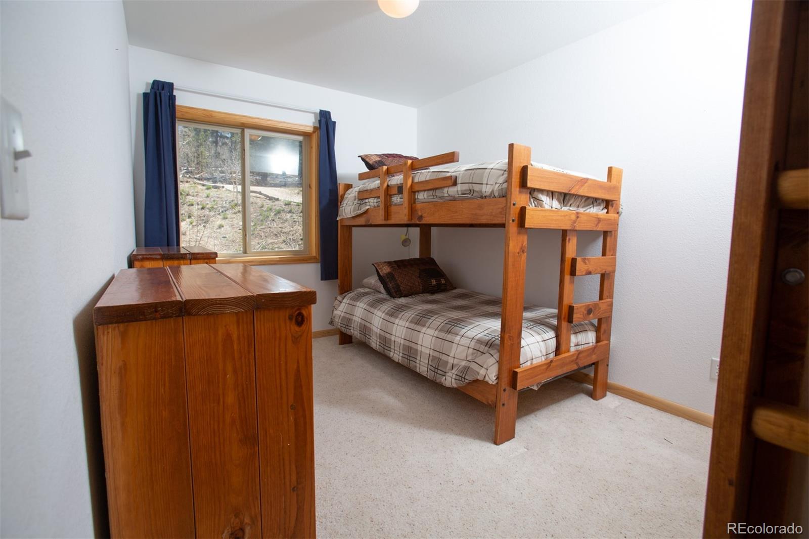 MLS Image #18 for 223  juniper court,alma, Colorado