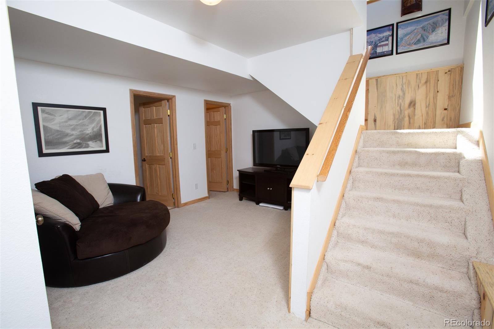 MLS Image #23 for 223  juniper court,alma, Colorado