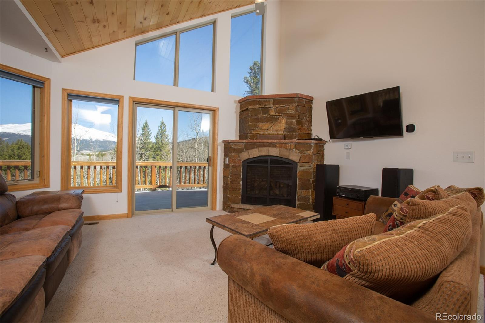 MLS Image #4 for 223  juniper court,alma, Colorado