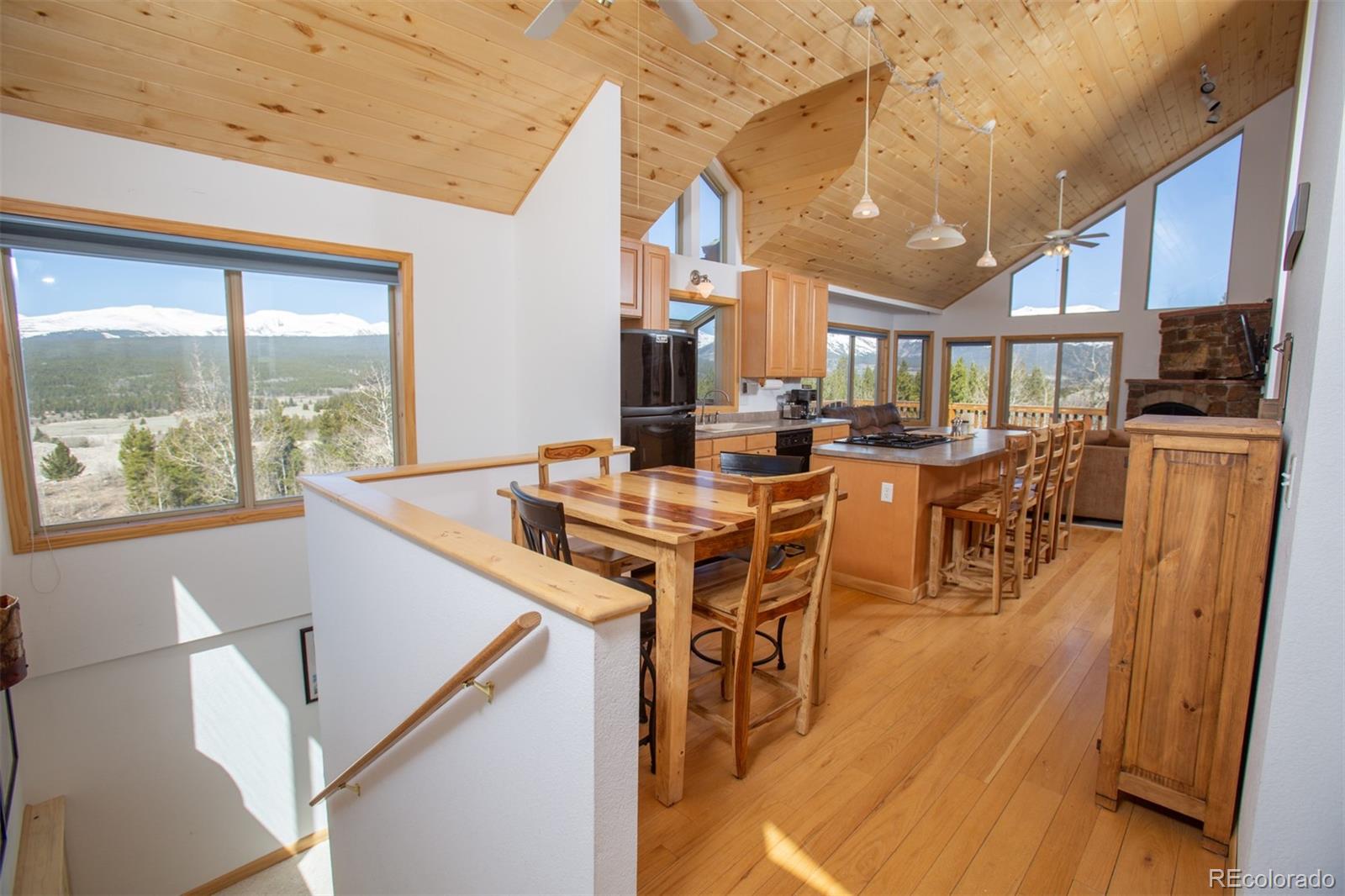 MLS Image #6 for 223  juniper court,alma, Colorado