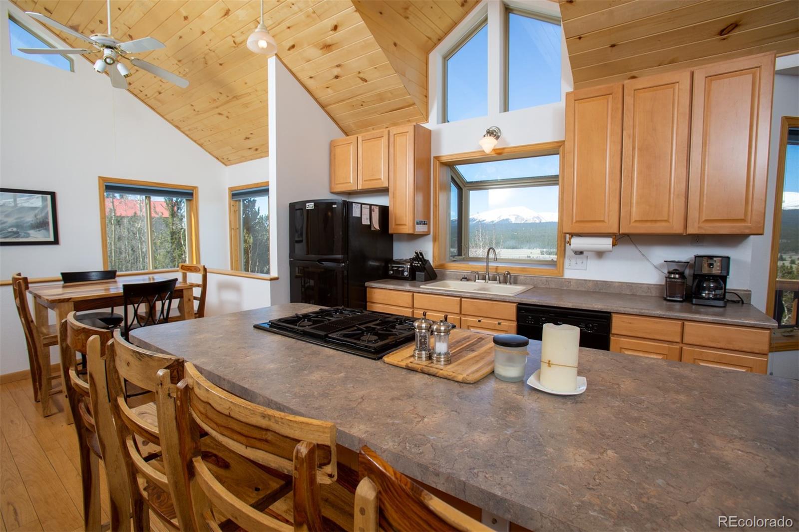 MLS Image #8 for 223  juniper court,alma, Colorado