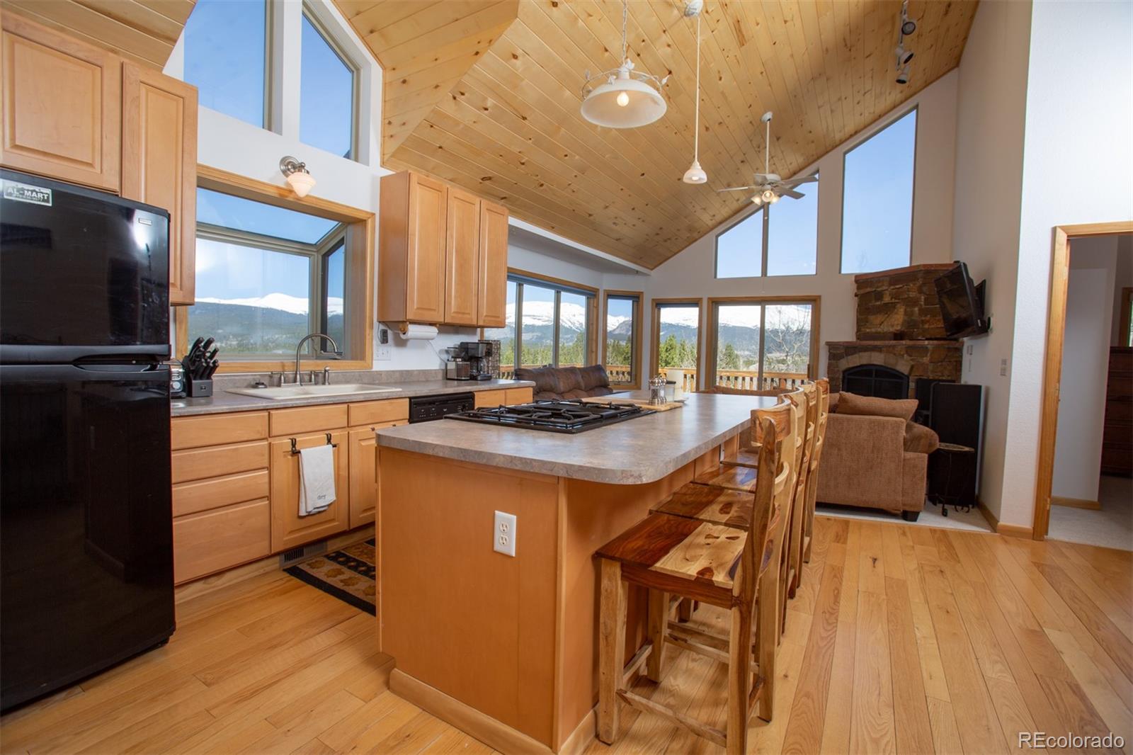 MLS Image #9 for 223  juniper court,alma, Colorado