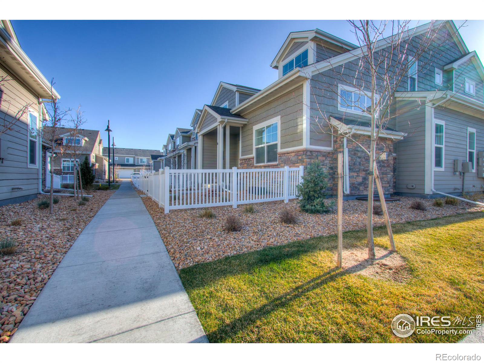 Report Image for 2156  Montauk Lane,Windsor, Colorado