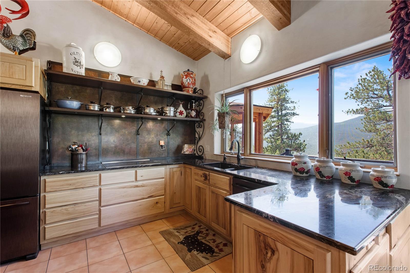 MLS Image #16 for 1582 s ridge road,bailey, Colorado