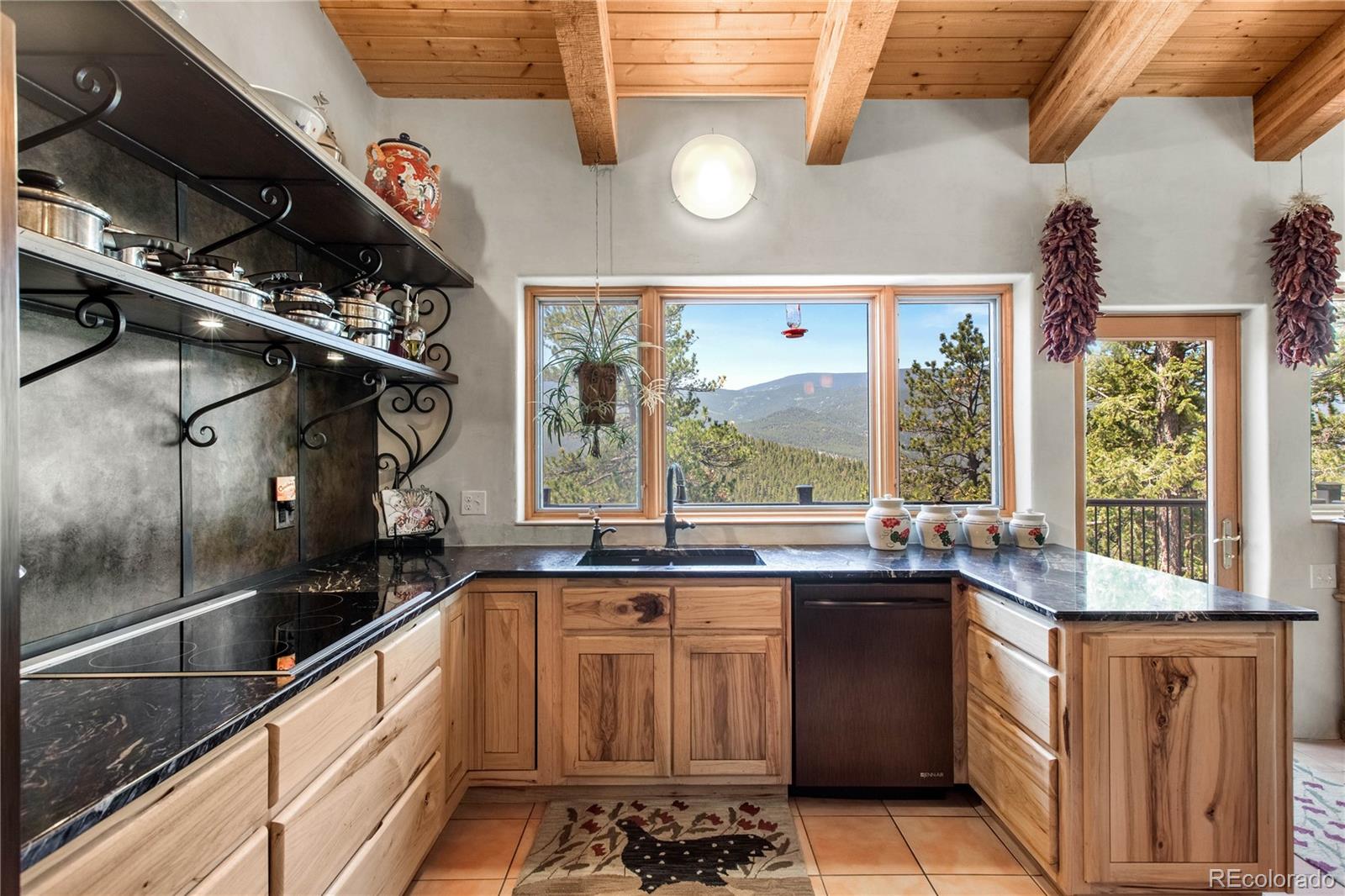 MLS Image #19 for 1582 s ridge road,bailey, Colorado