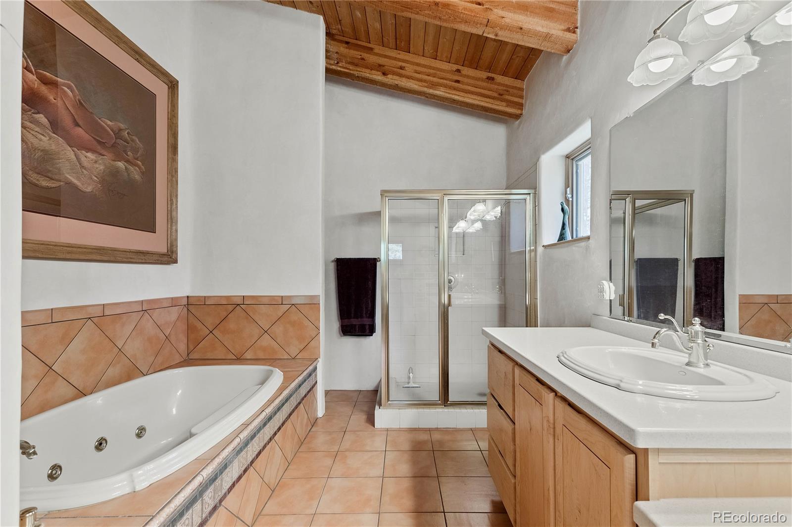 MLS Image #24 for 1582 s ridge road,bailey, Colorado