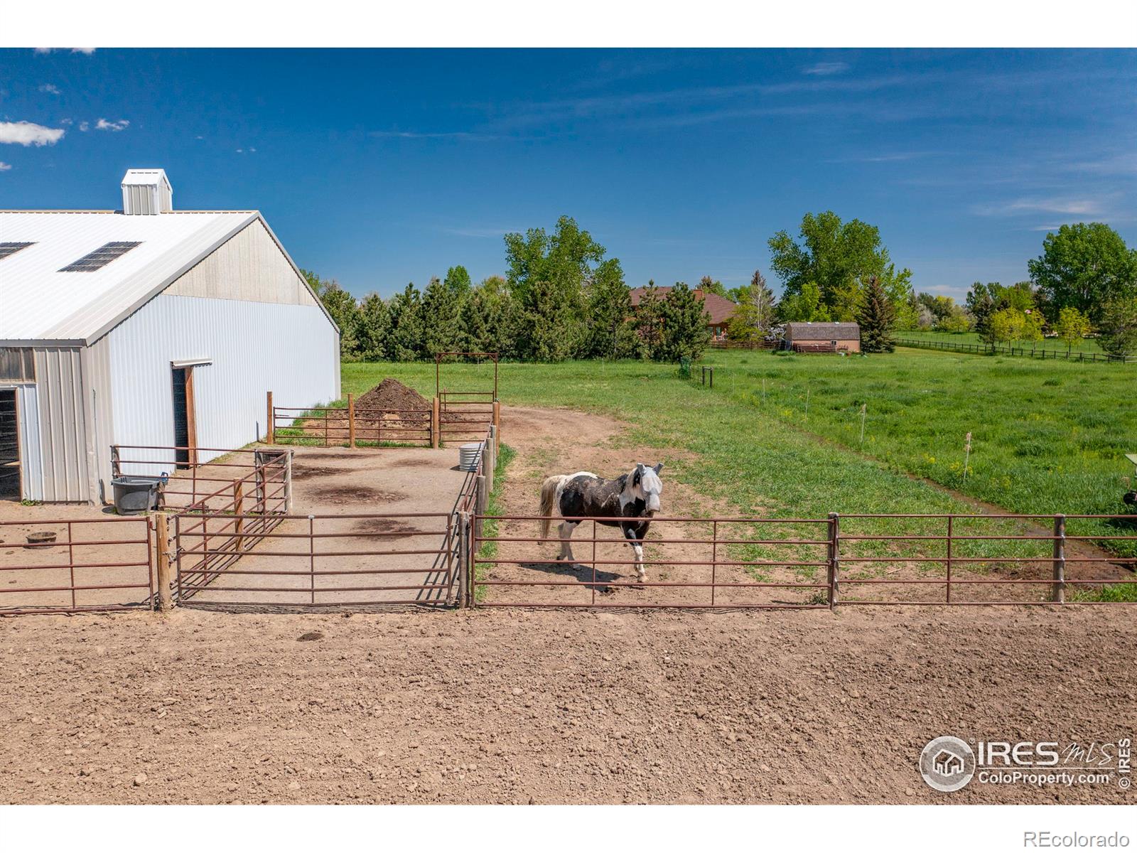 MLS Image #14 for 5950 n county road 15 ,fort collins, Colorado