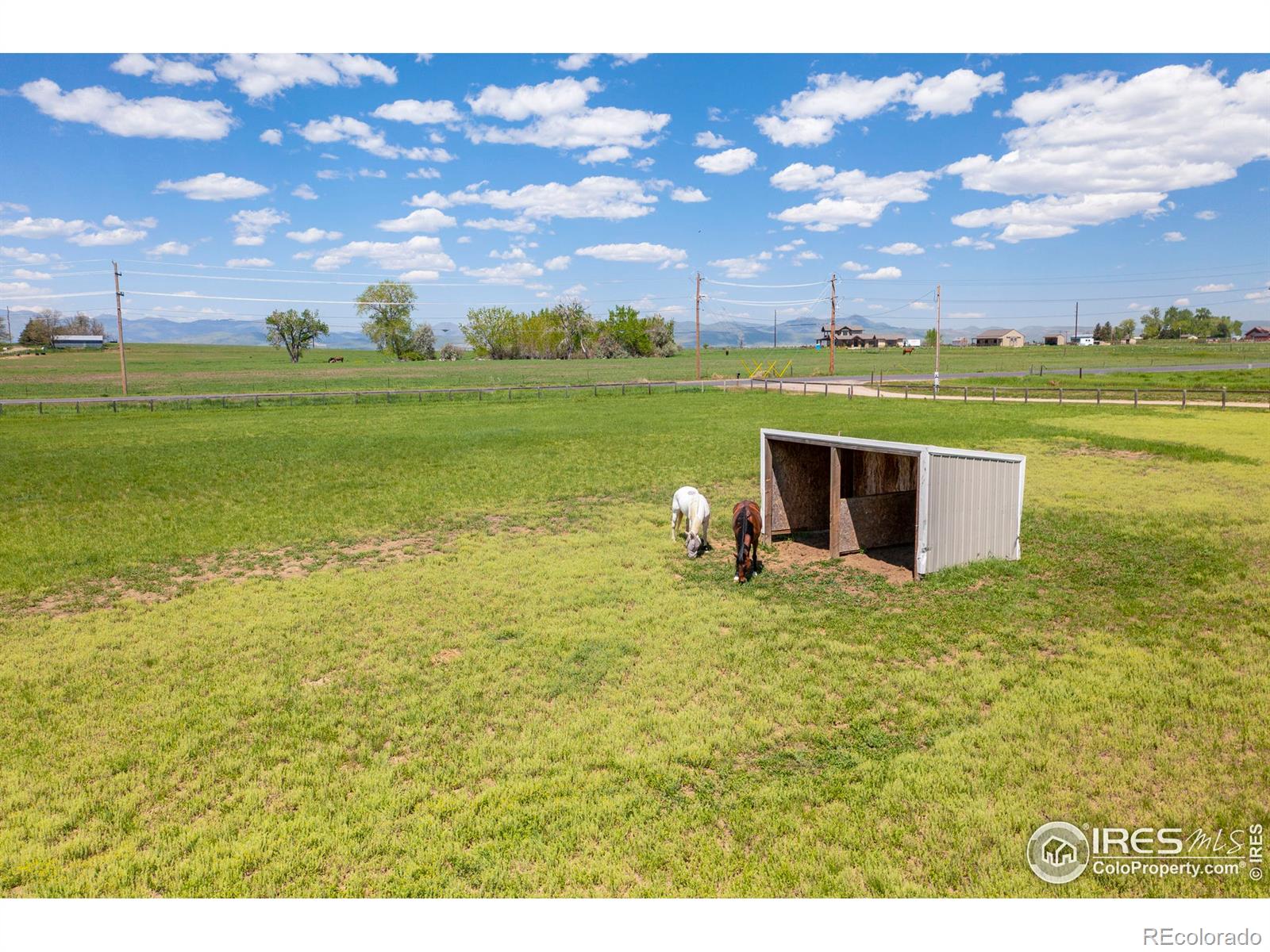 MLS Image #9 for 5950 n county road 15 ,fort collins, Colorado