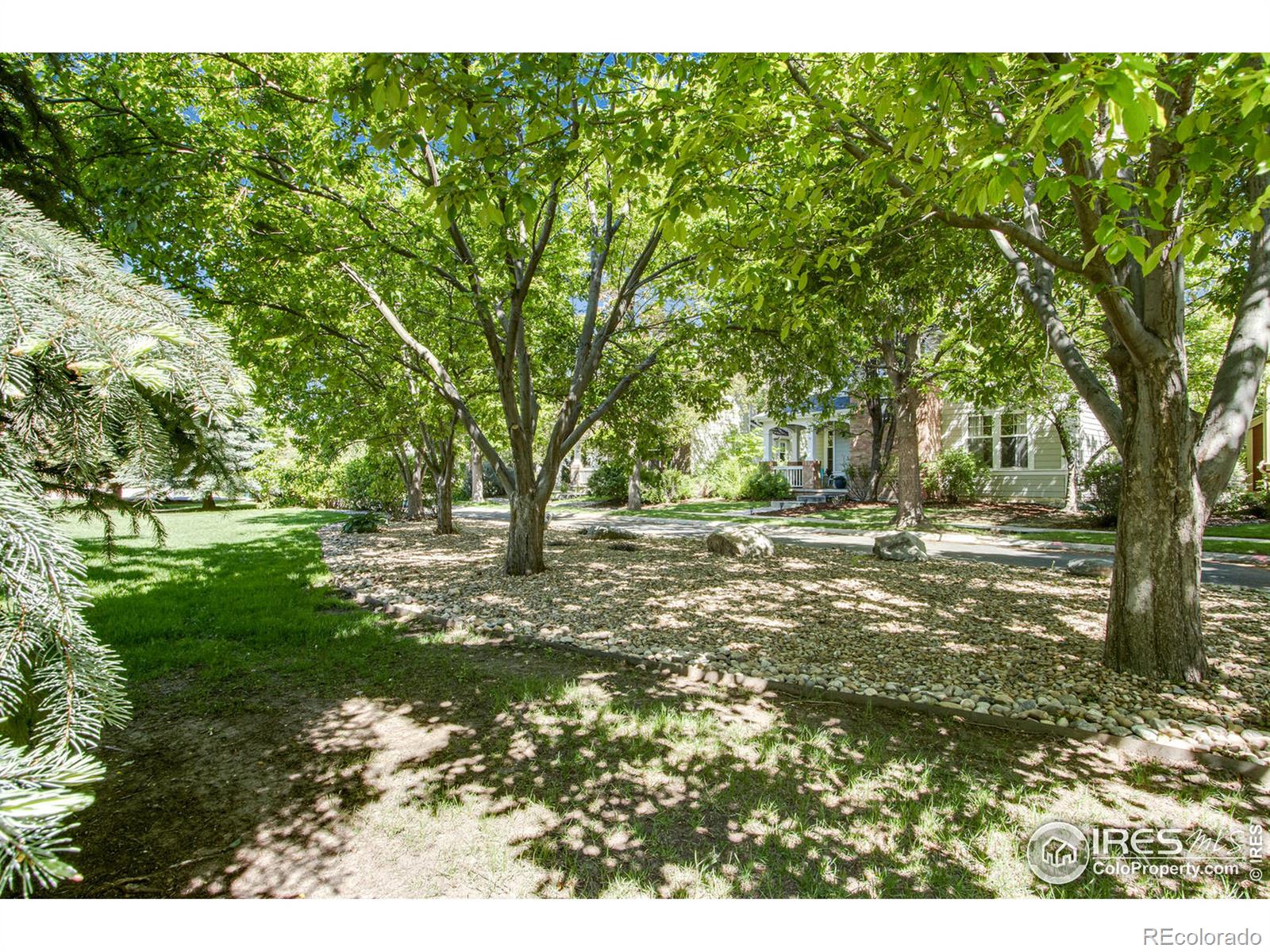 MLS Image #5 for 3014  rock creek drive,fort collins, Colorado