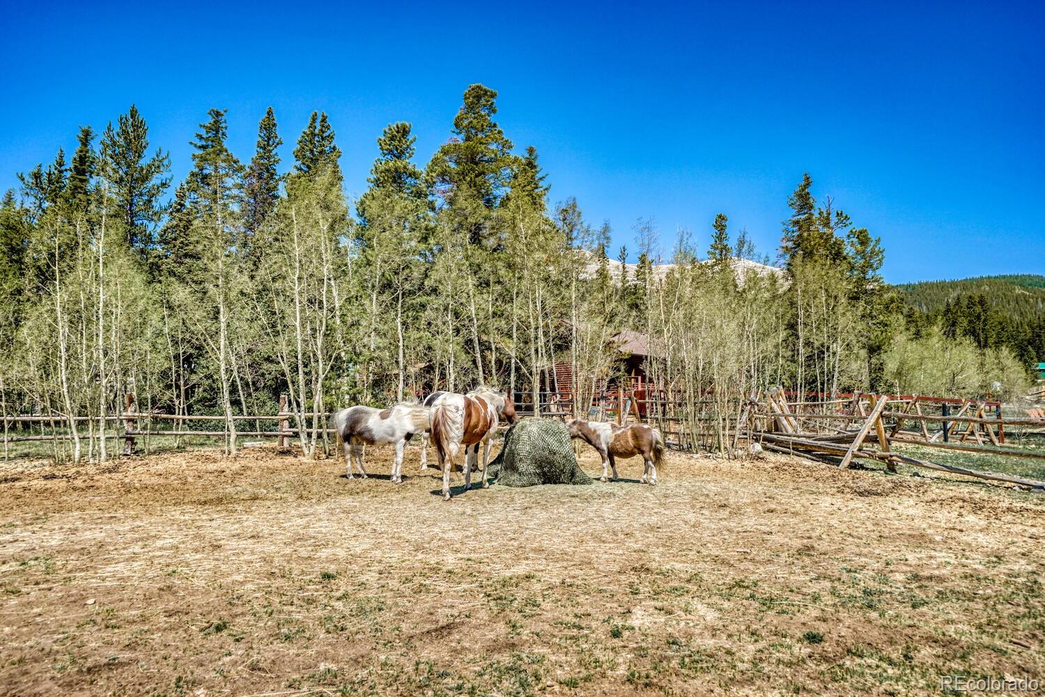 MLS Image #10 for 692  co road 6 ,alma, Colorado