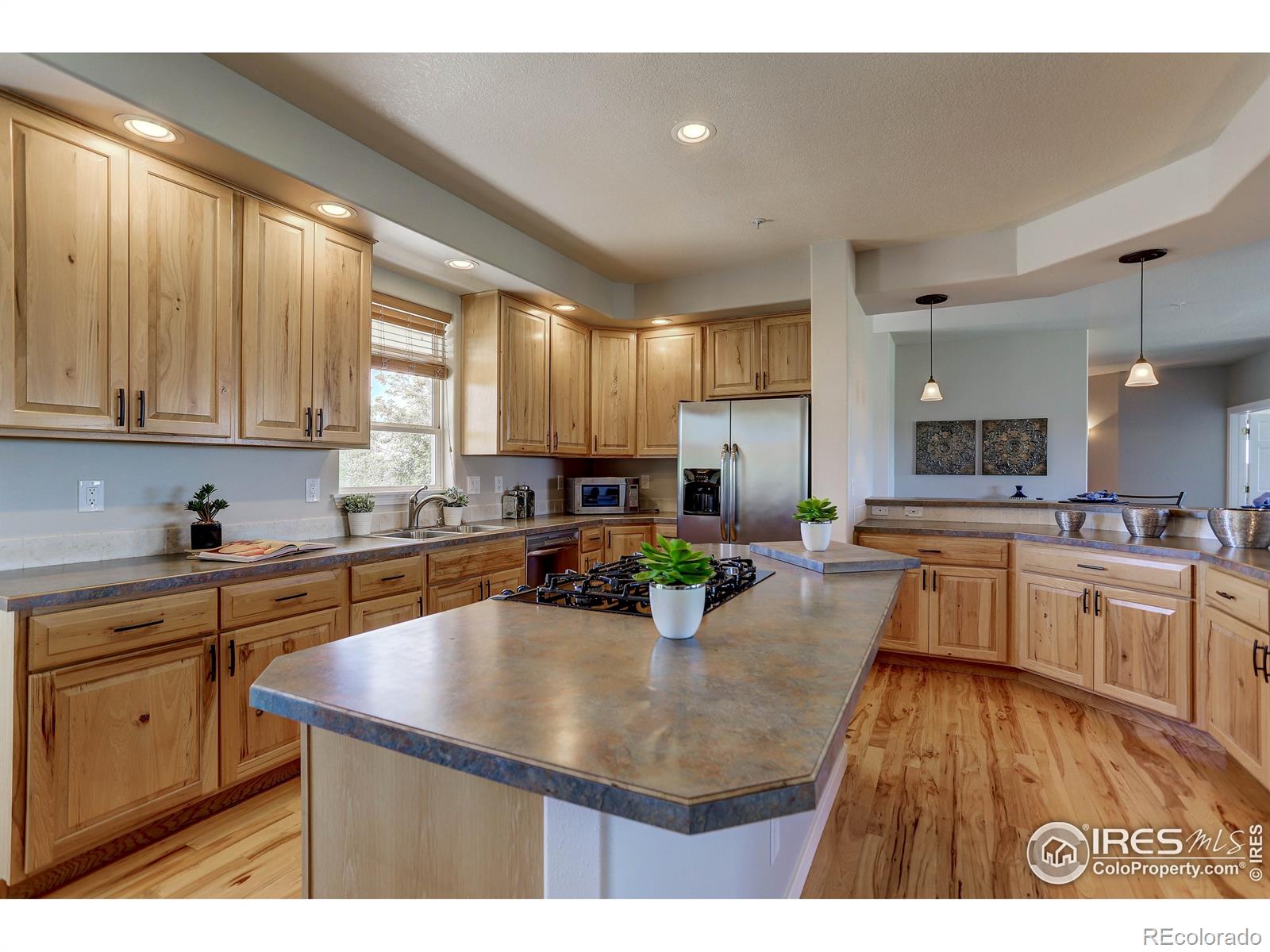 MLS Image #12 for 14821  shadow wood street,brighton, Colorado