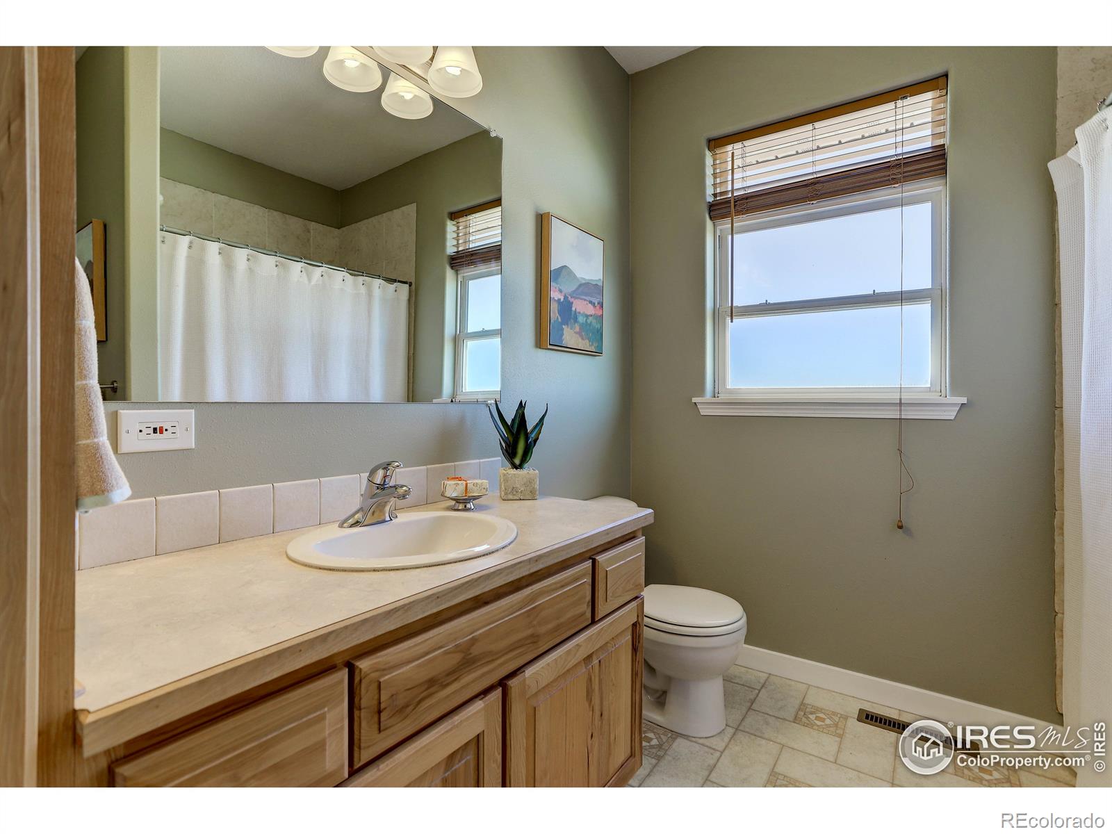 MLS Image #24 for 14821  shadow wood street,brighton, Colorado