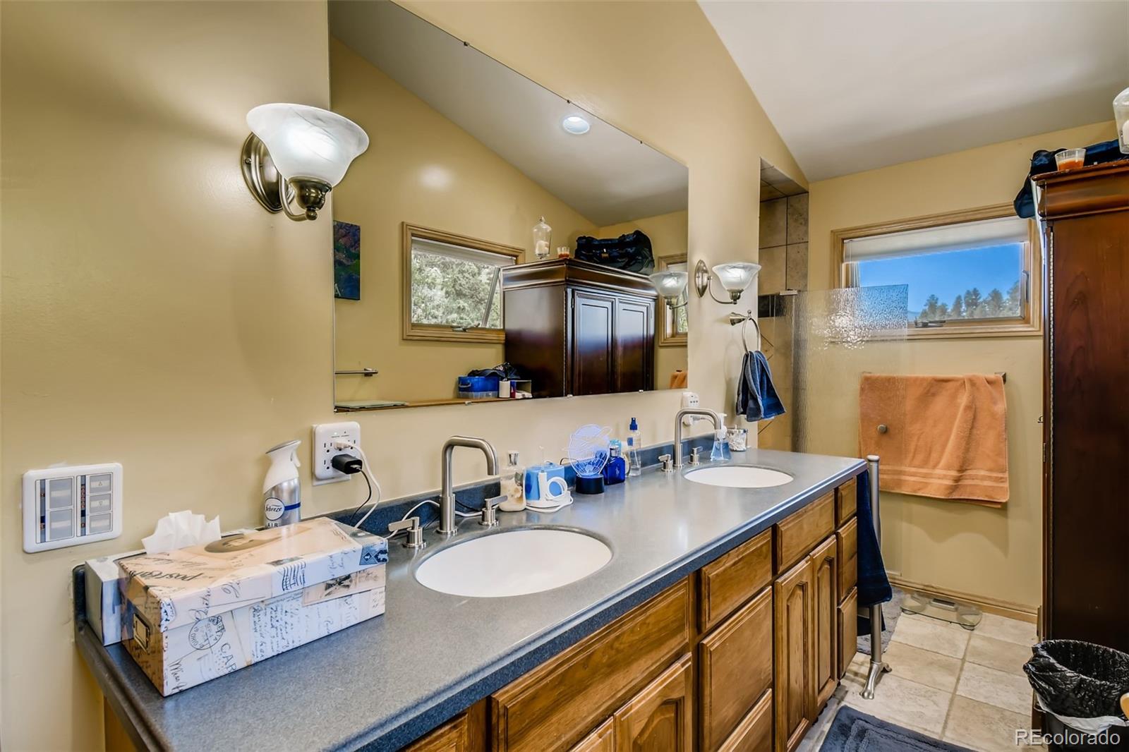 MLS Image #10 for 240  pinecrest circle,bailey, Colorado