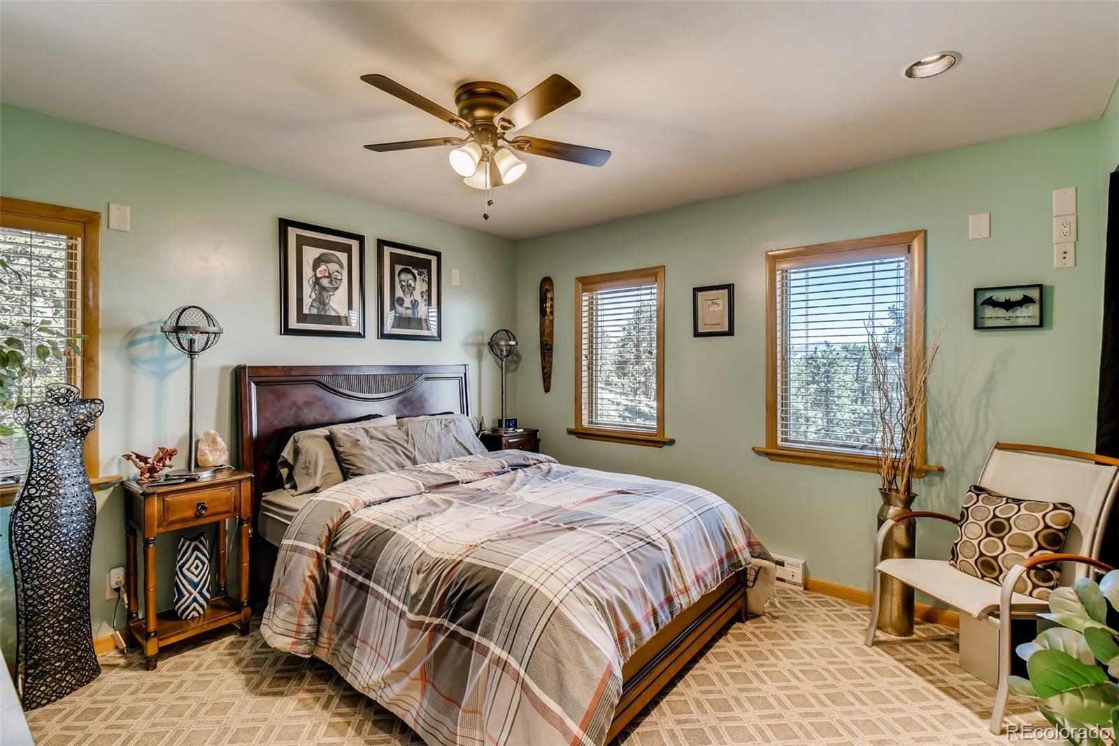 MLS Image #13 for 240  pinecrest circle,bailey, Colorado