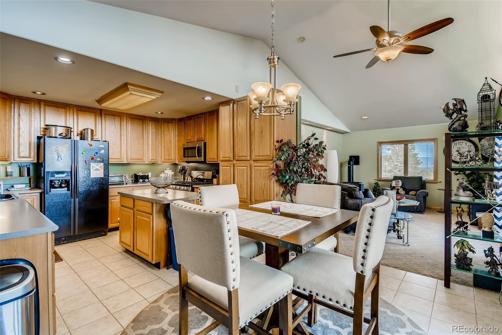 MLS Image #17 for 240  pinecrest circle,bailey, Colorado