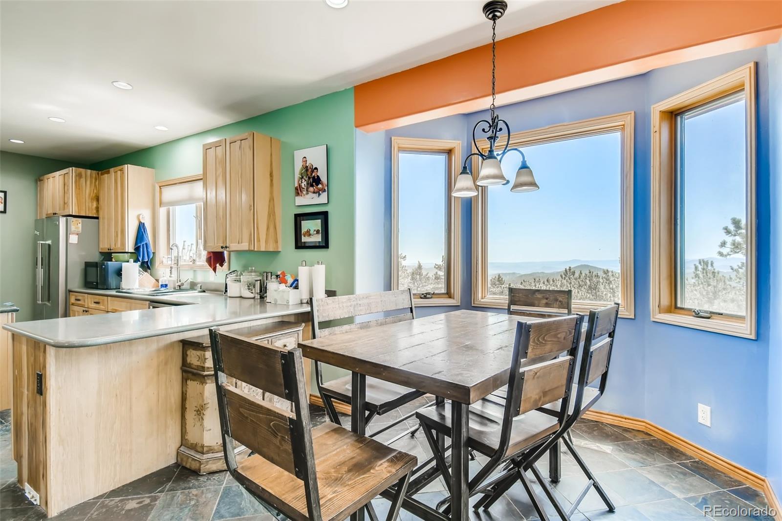 MLS Image #4 for 240  pinecrest circle,bailey, Colorado