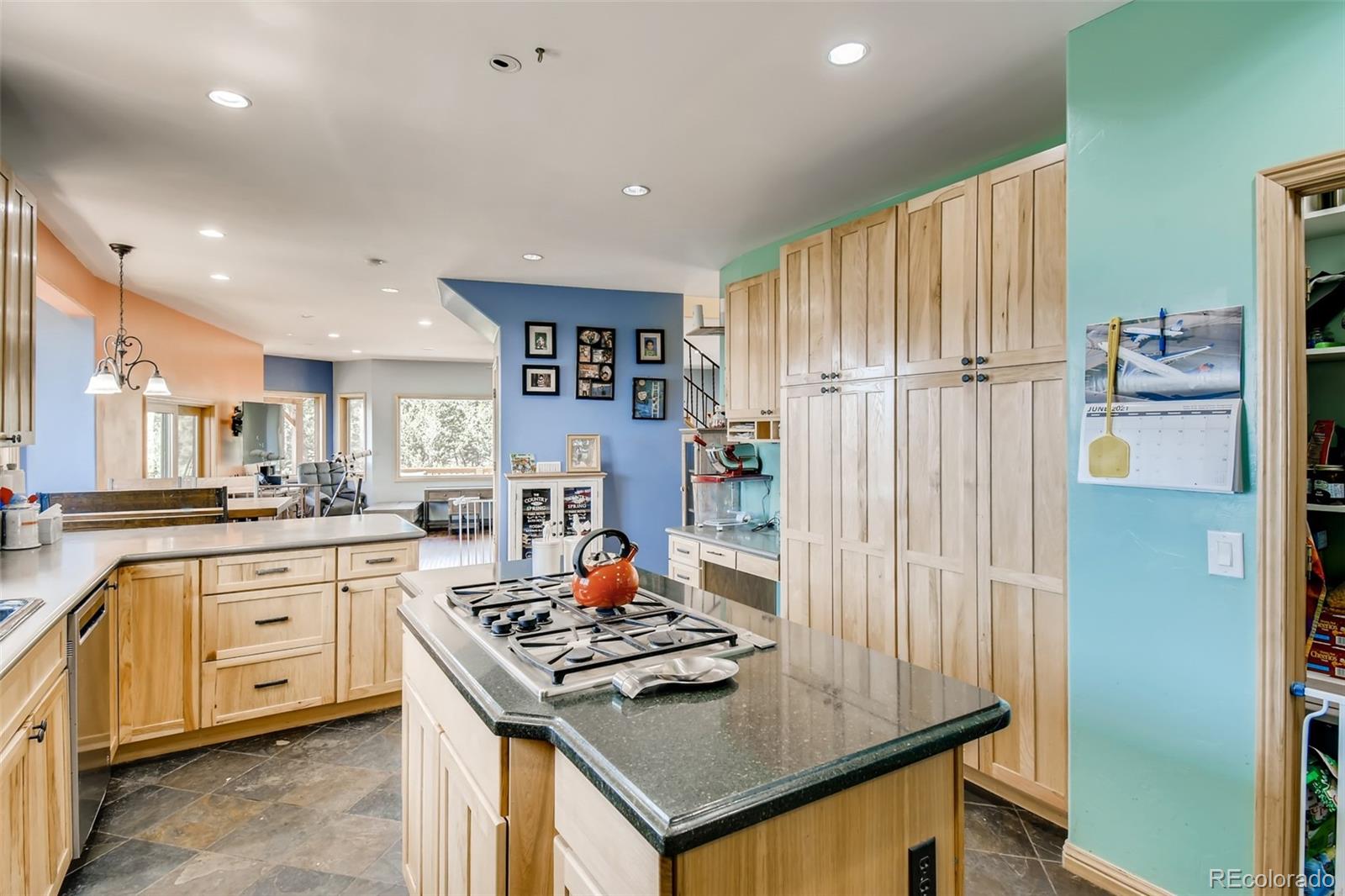 MLS Image #6 for 240  pinecrest circle,bailey, Colorado