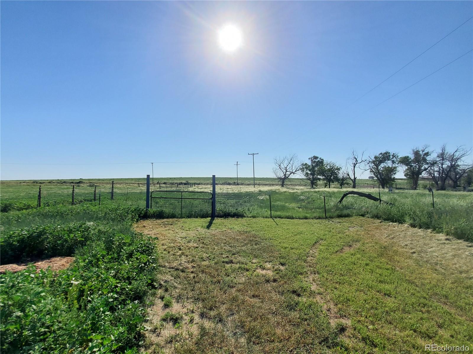 MLS Image #31 for 39940  county highway 109 ,hugo, Colorado