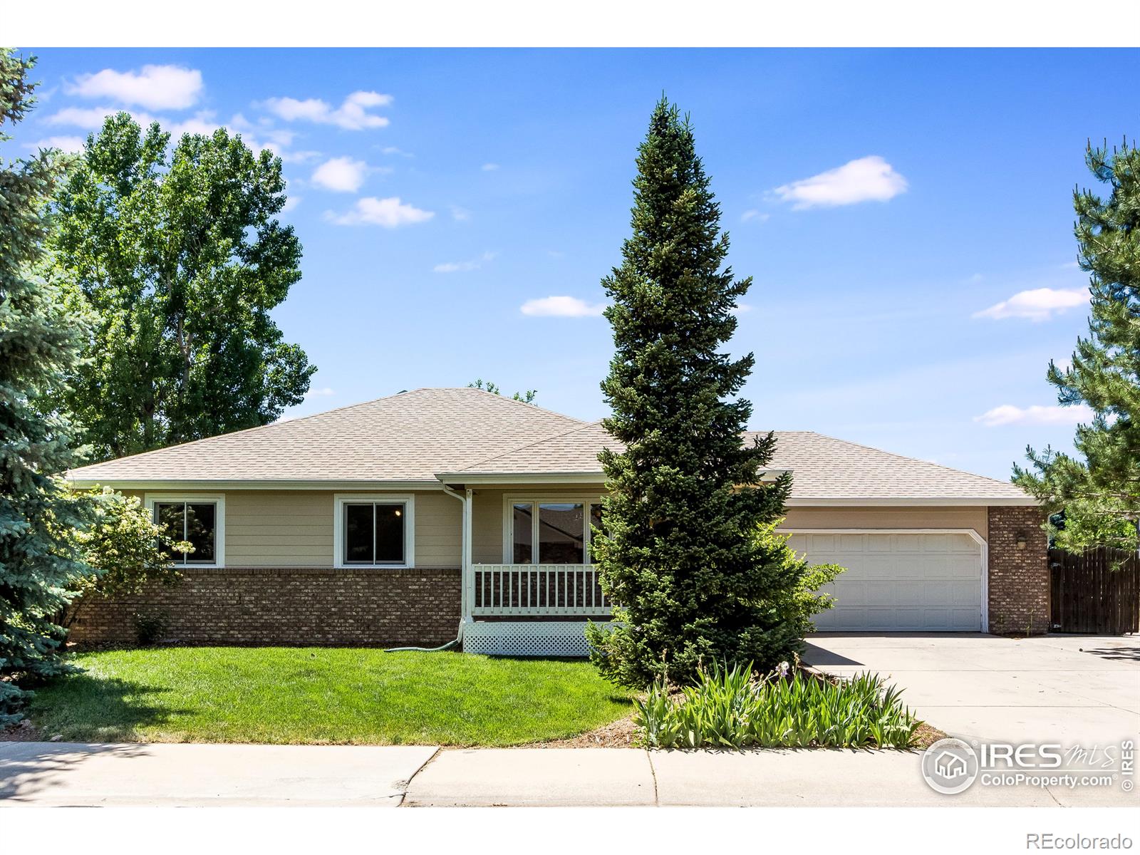 MLS Image #0 for 1004  indian trail drive,windsor, Colorado