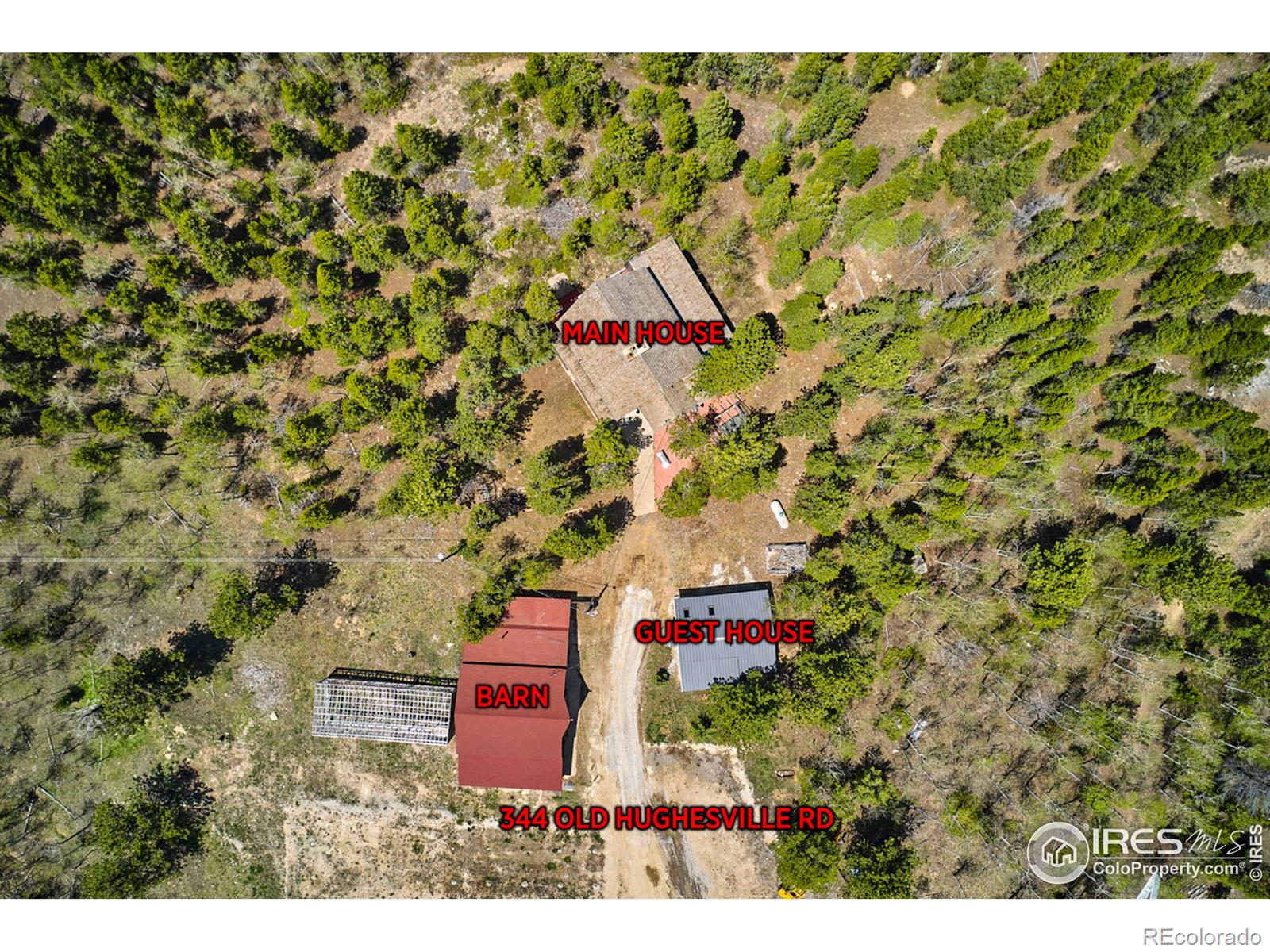 MLS Image #4 for 344  old hughesville road,black hawk, Colorado