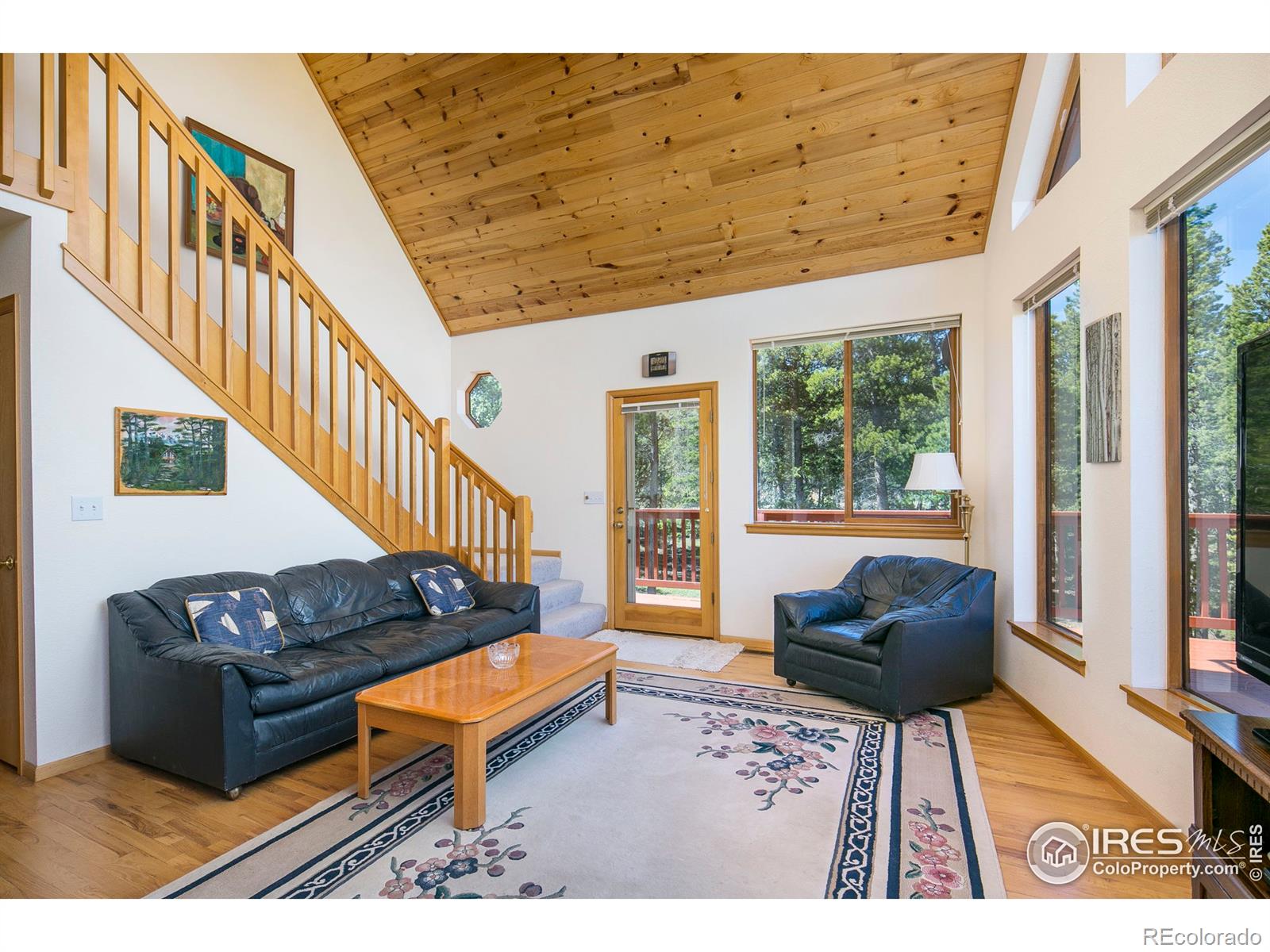 MLS Image #11 for 902  karlann drive,black hawk, Colorado