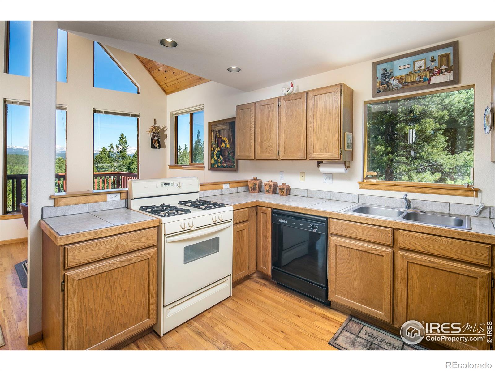 MLS Image #13 for 902  karlann drive,black hawk, Colorado