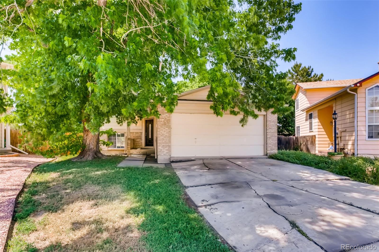 MLS Image #0 for 6229  zenobia court,arvada, Colorado