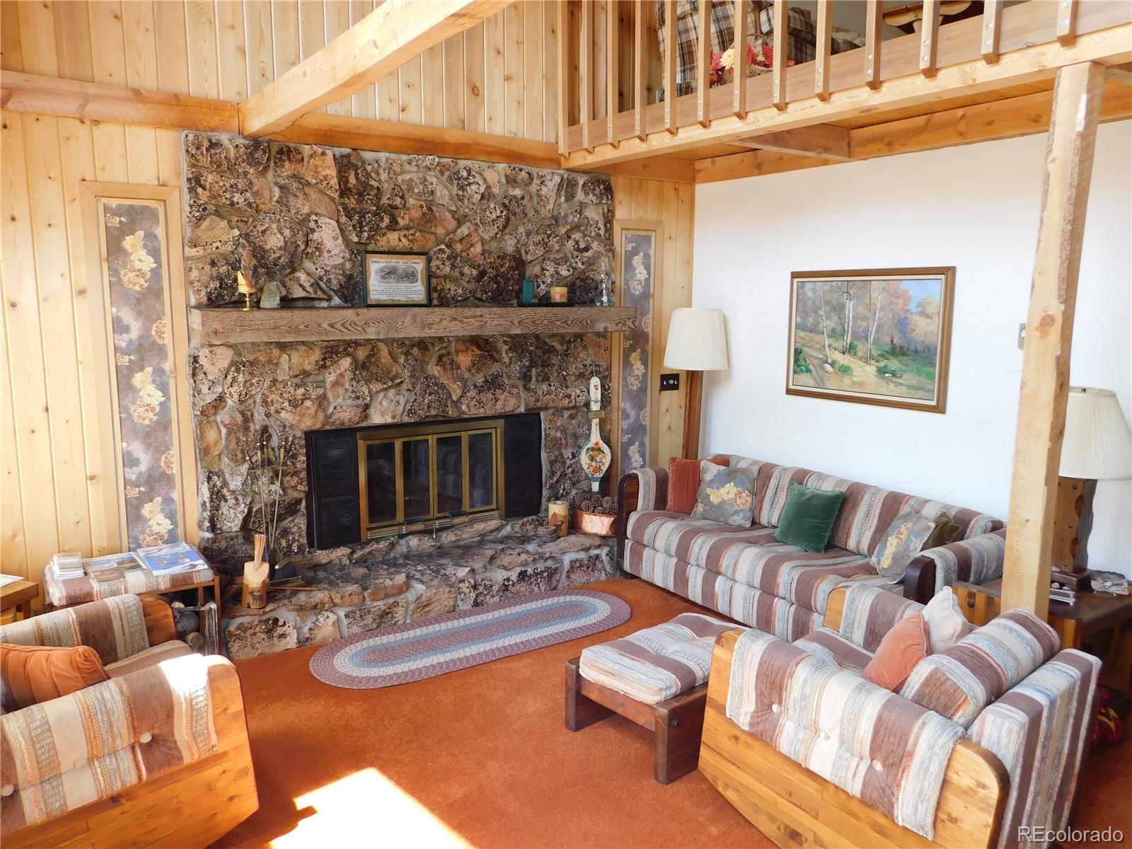 MLS Image #4 for 657  edgewood road,alma, Colorado