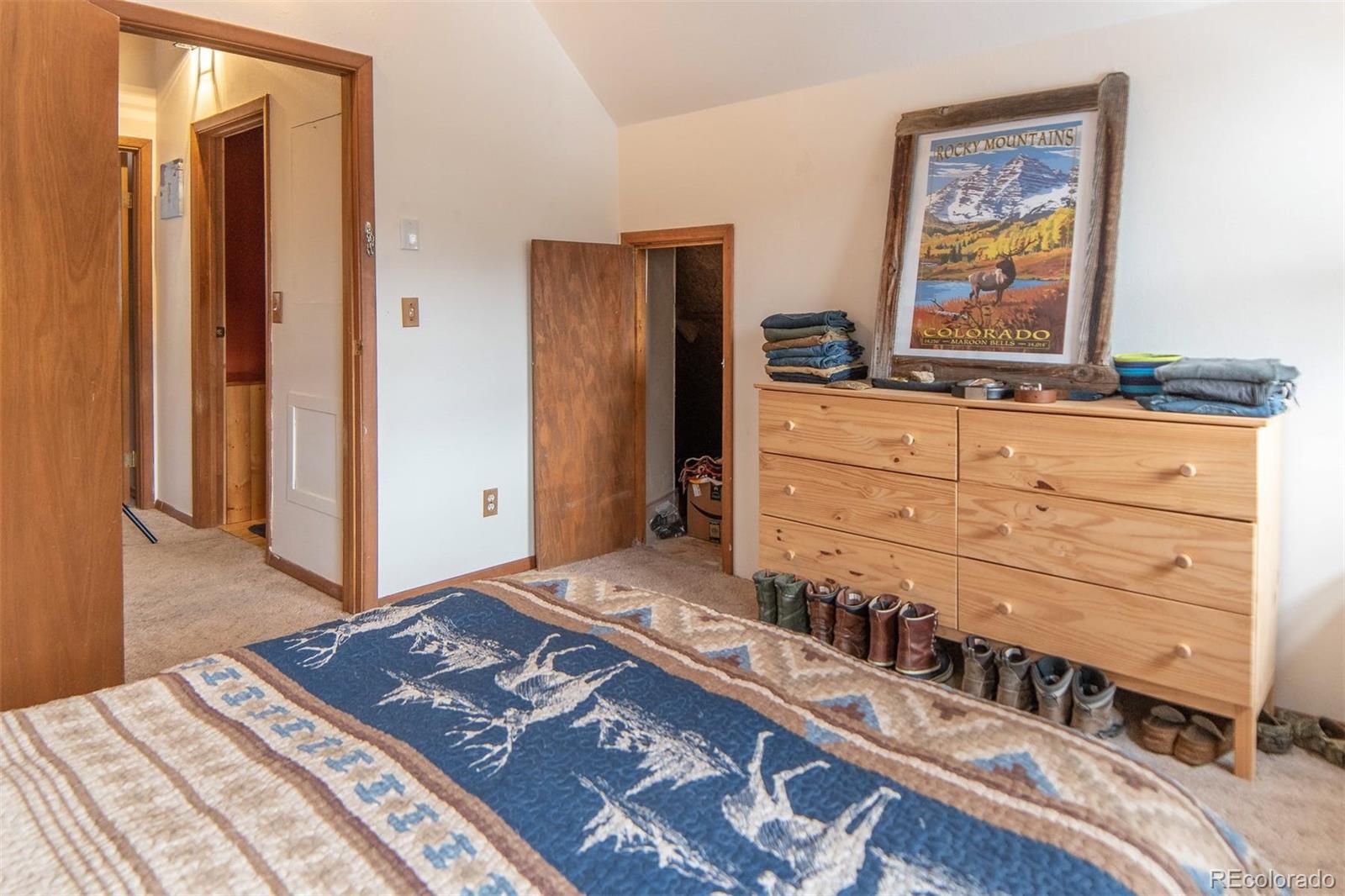 MLS Image #17 for 2845  county road 12 ,alma, Colorado