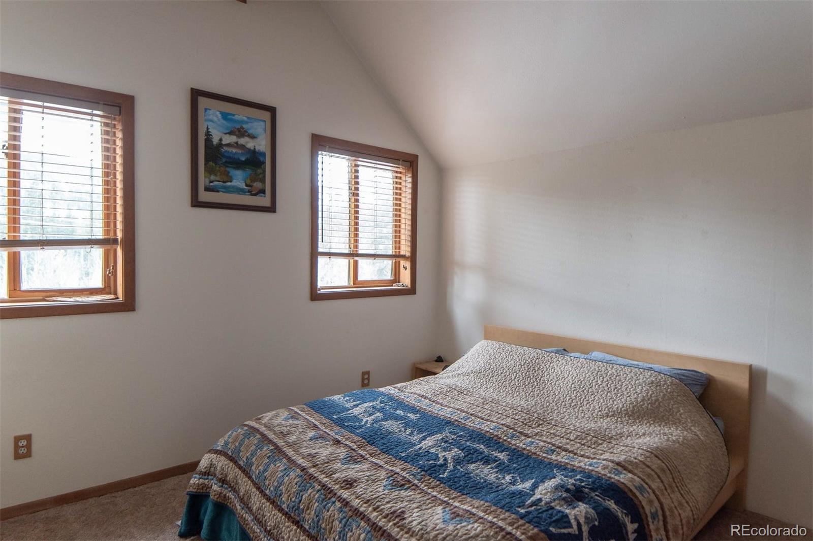 MLS Image #23 for 2845  county road 12 ,alma, Colorado