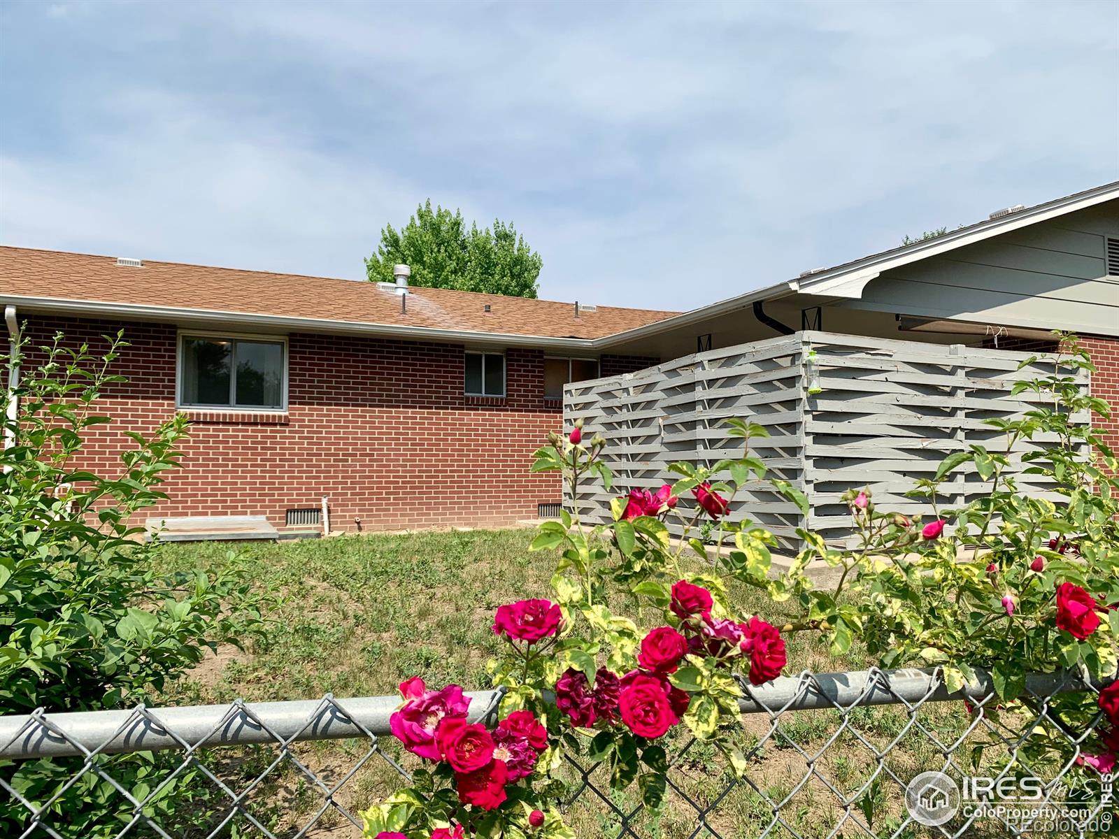 MLS Image #13 for 1214  linden street,longmont, Colorado