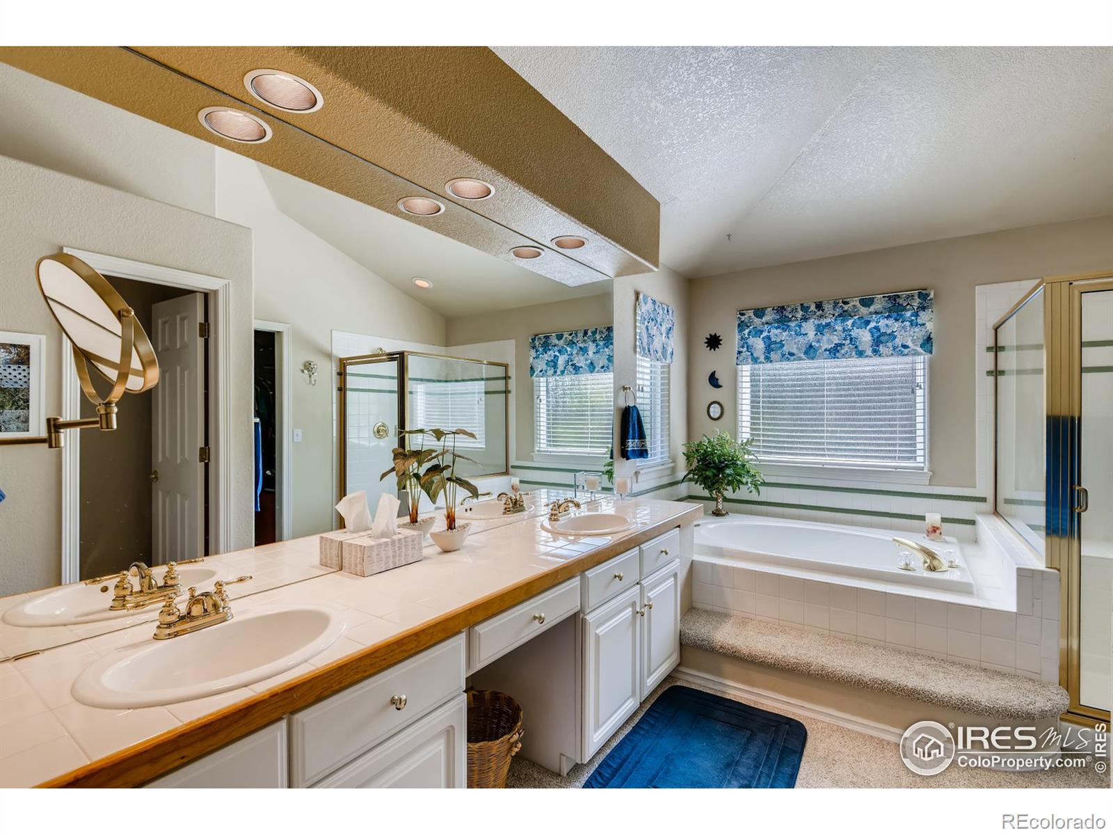 MLS Image #18 for 248  berthoud trail,broomfield, Colorado