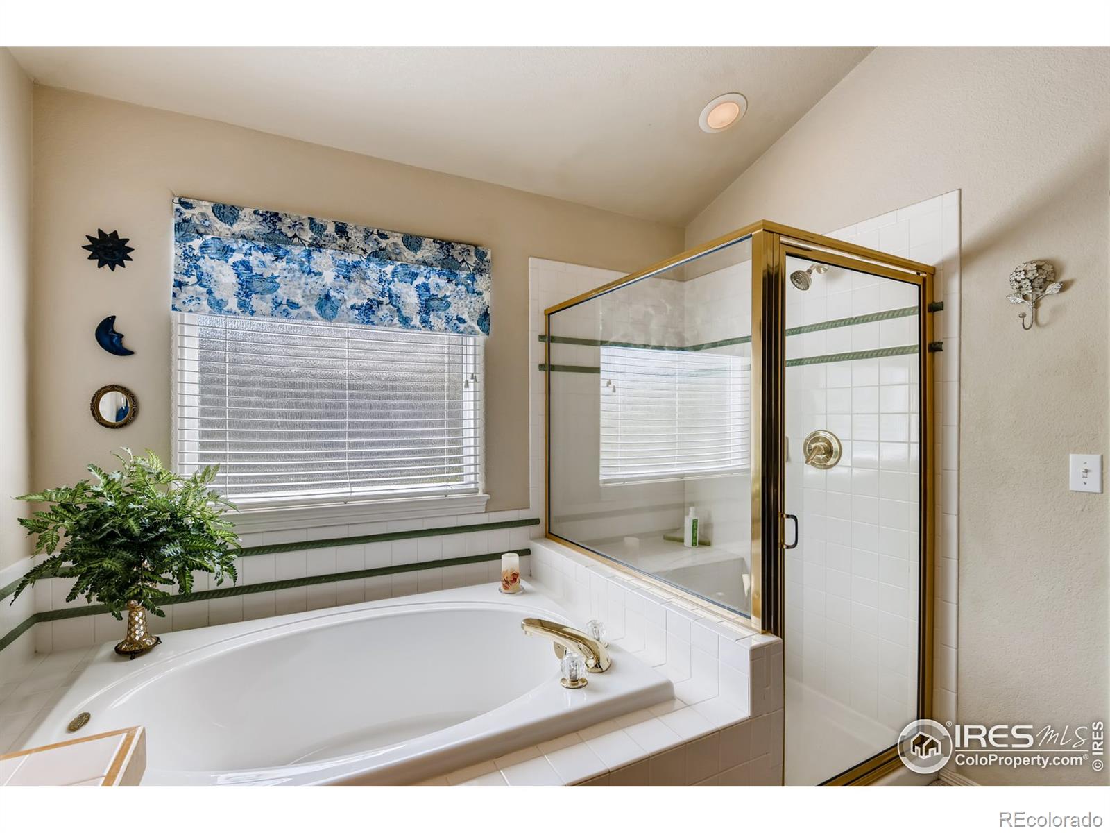 MLS Image #19 for 248  berthoud trail,broomfield, Colorado