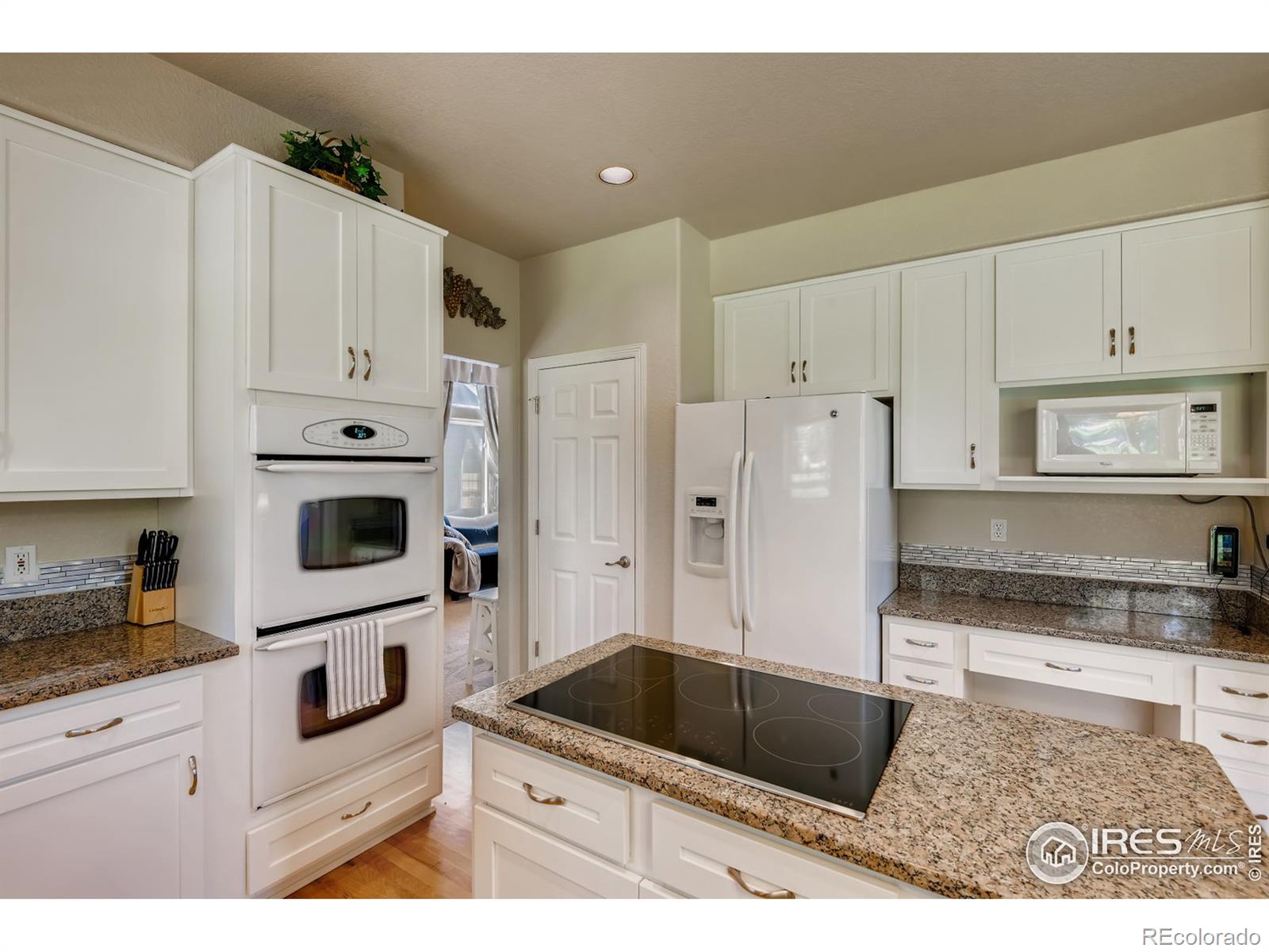 MLS Image #7 for 248  berthoud trail,broomfield, Colorado