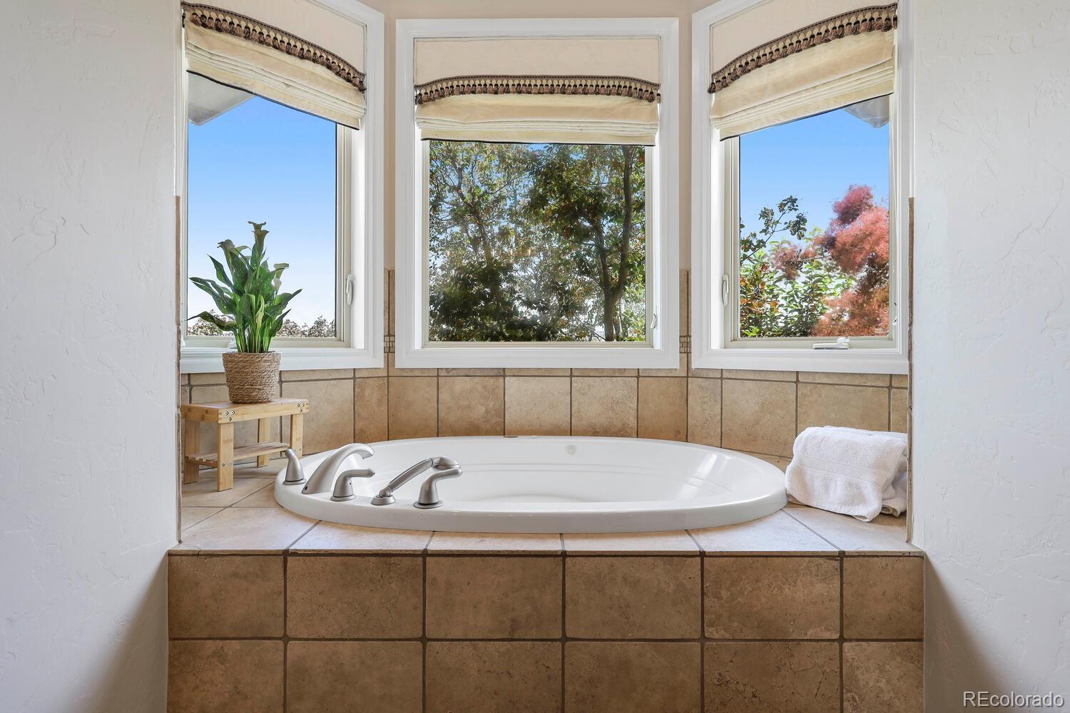 MLS Image #12 for 2275  sally lane,castle rock, Colorado