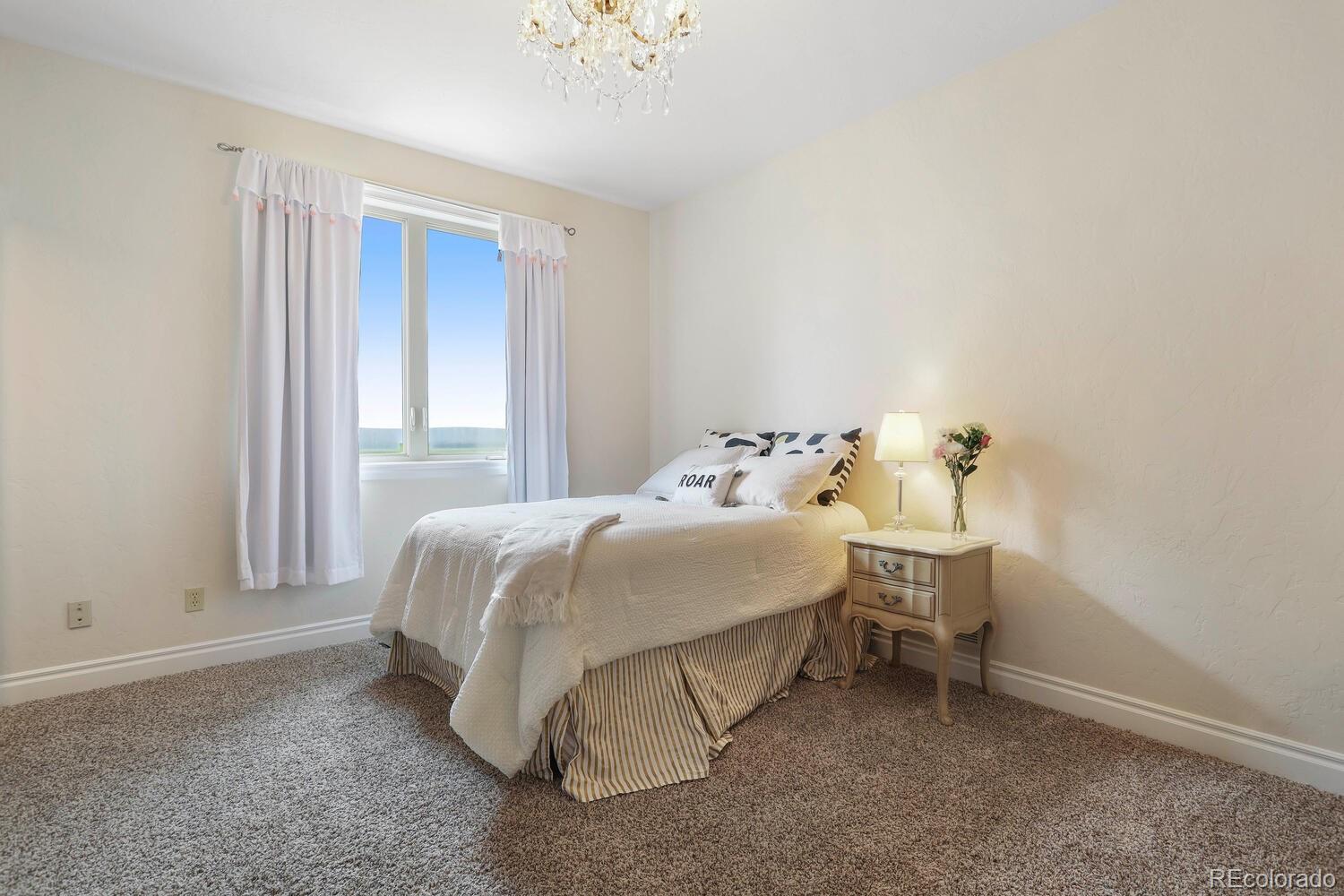 MLS Image #13 for 2275  sally lane,castle rock, Colorado
