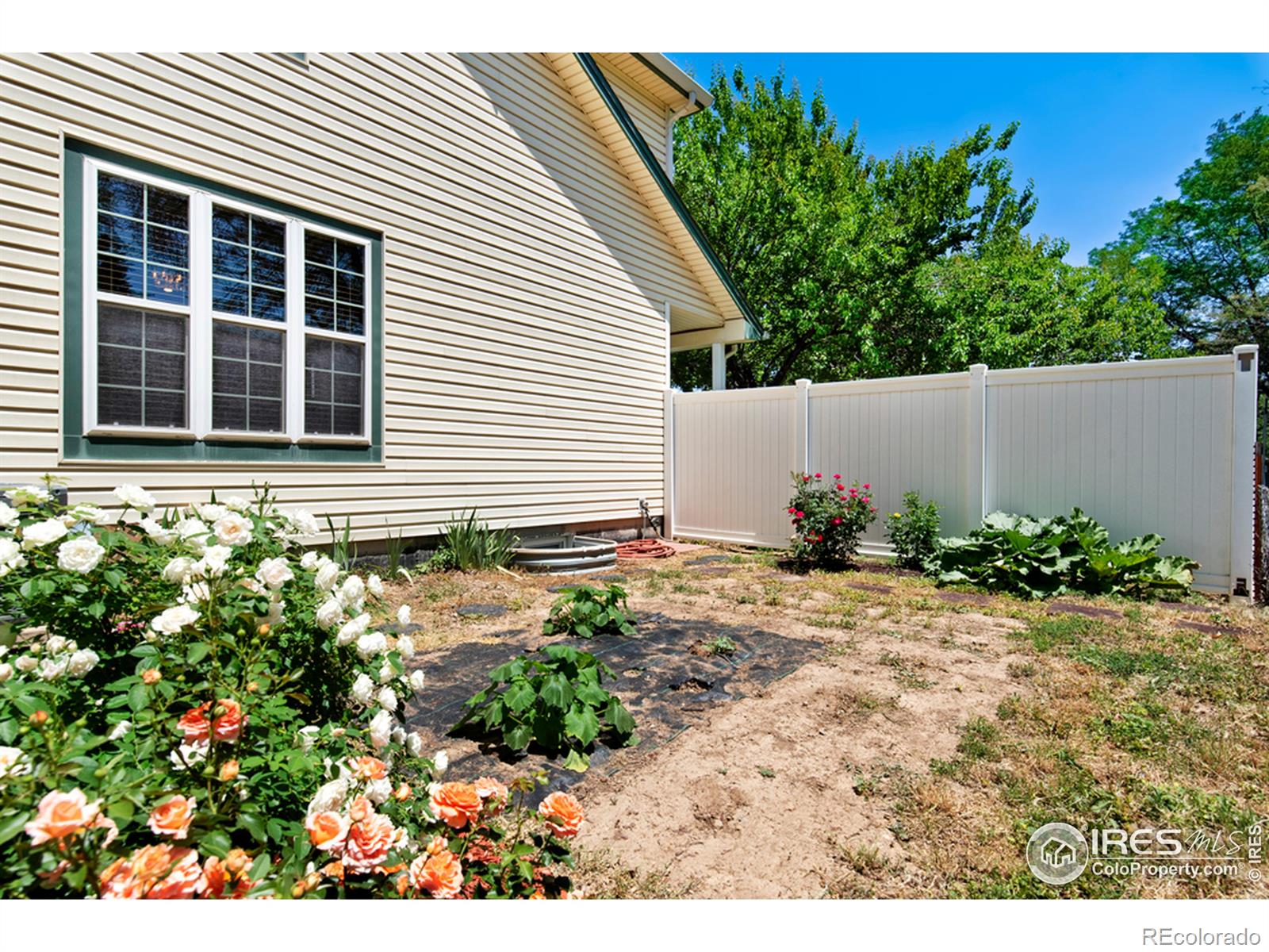 MLS Image #22 for 703 n colorado avenue,loveland, Colorado