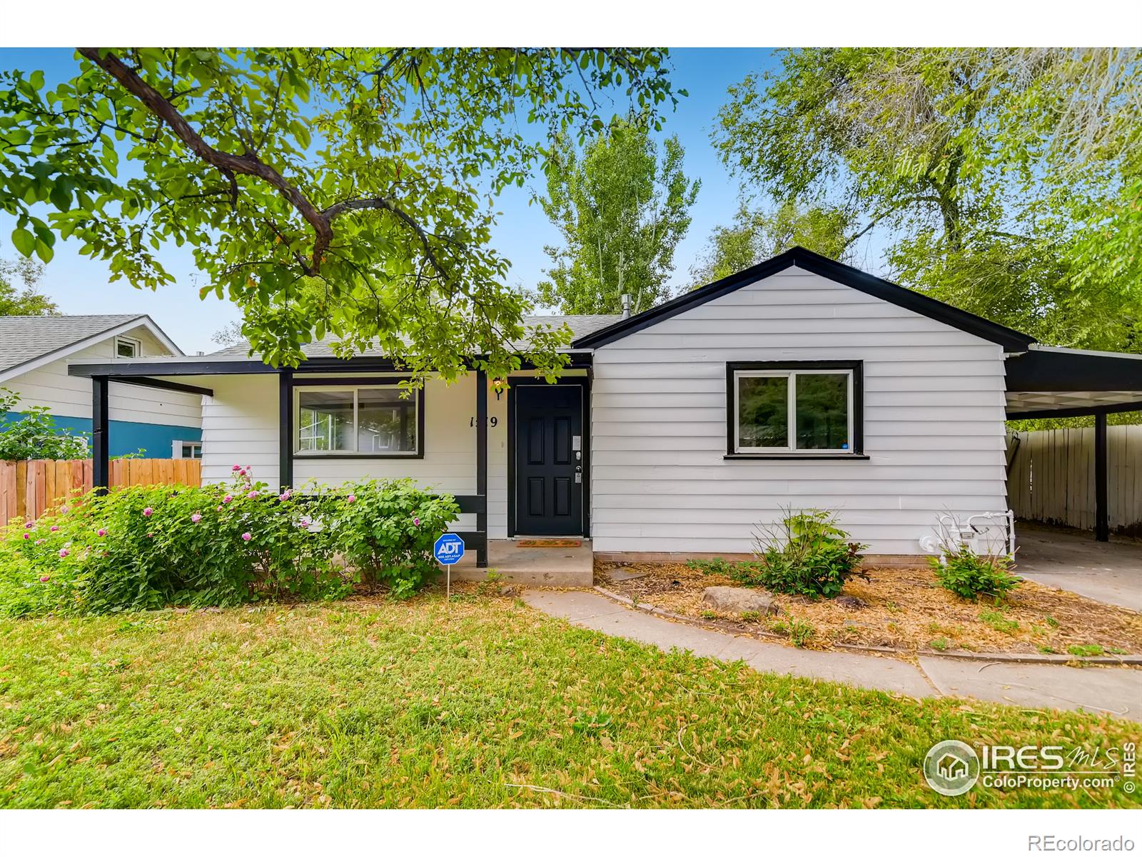 MLS Image #0 for 1519  laporte avenue,fort collins, Colorado