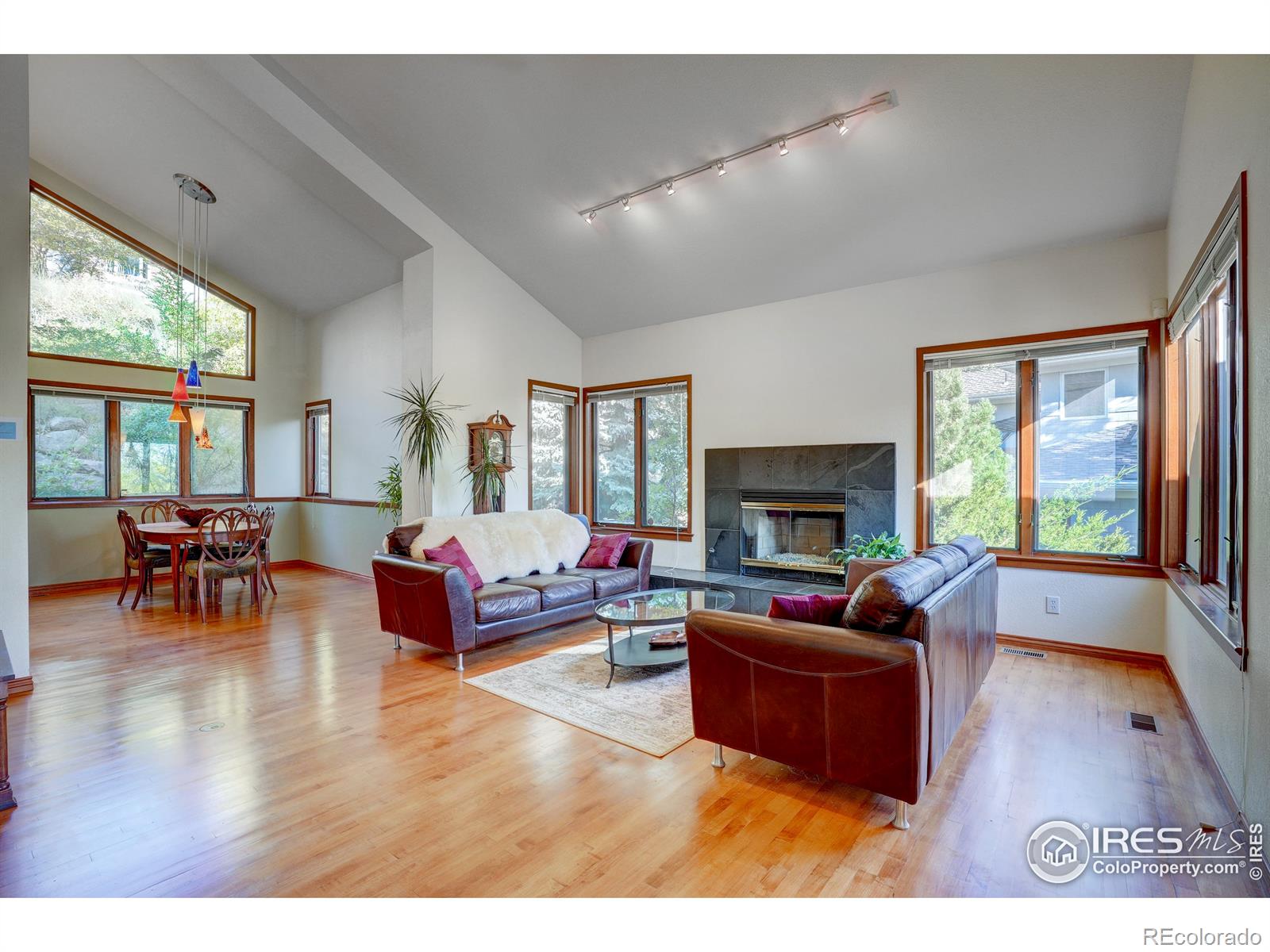 MLS Image #3 for 3921  promontory court,boulder, Colorado