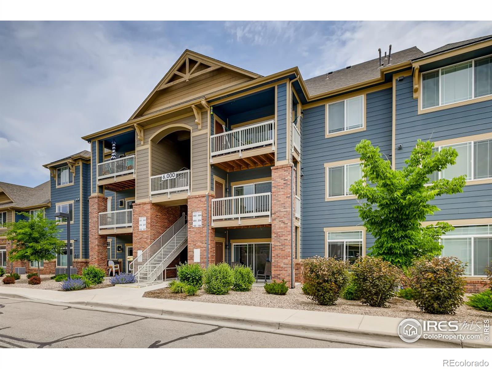 MLS Image #0 for 804  summer hawk drive,longmont, Colorado