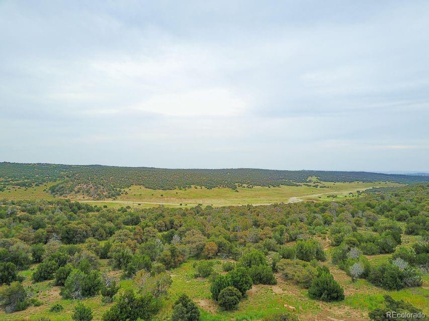 MLS Image #37 for 91  bear trail,walsenburg, Colorado