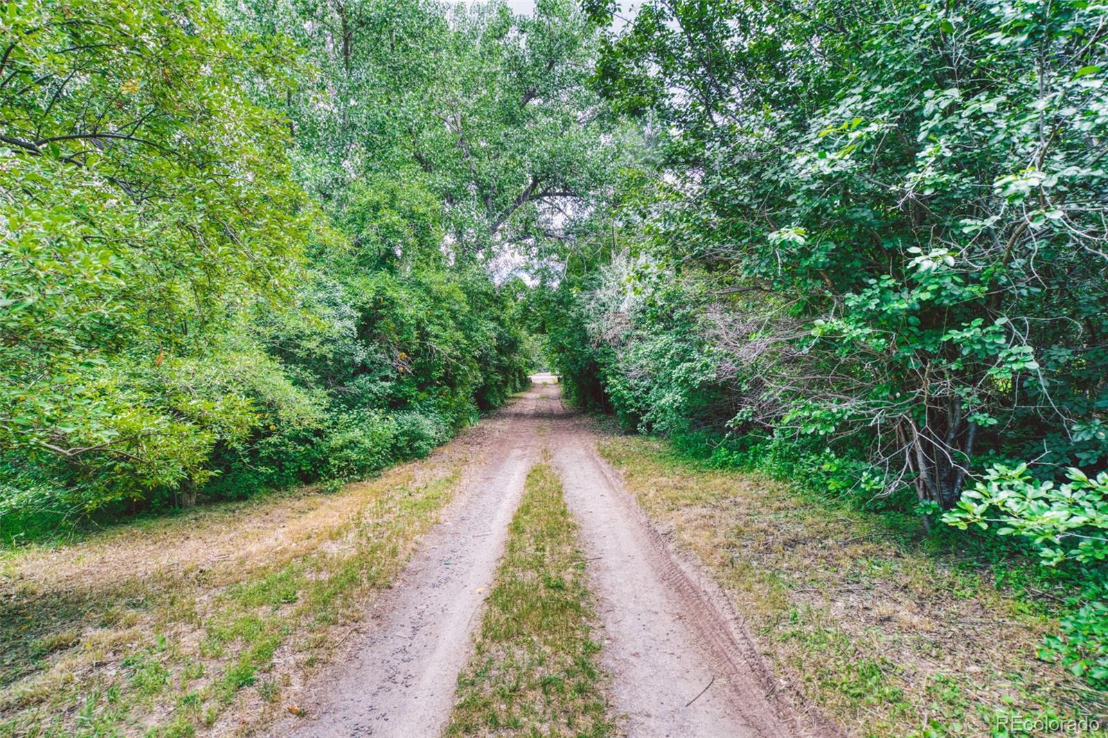 MLS Image #12 for 6081 s franklin street,centennial, Colorado